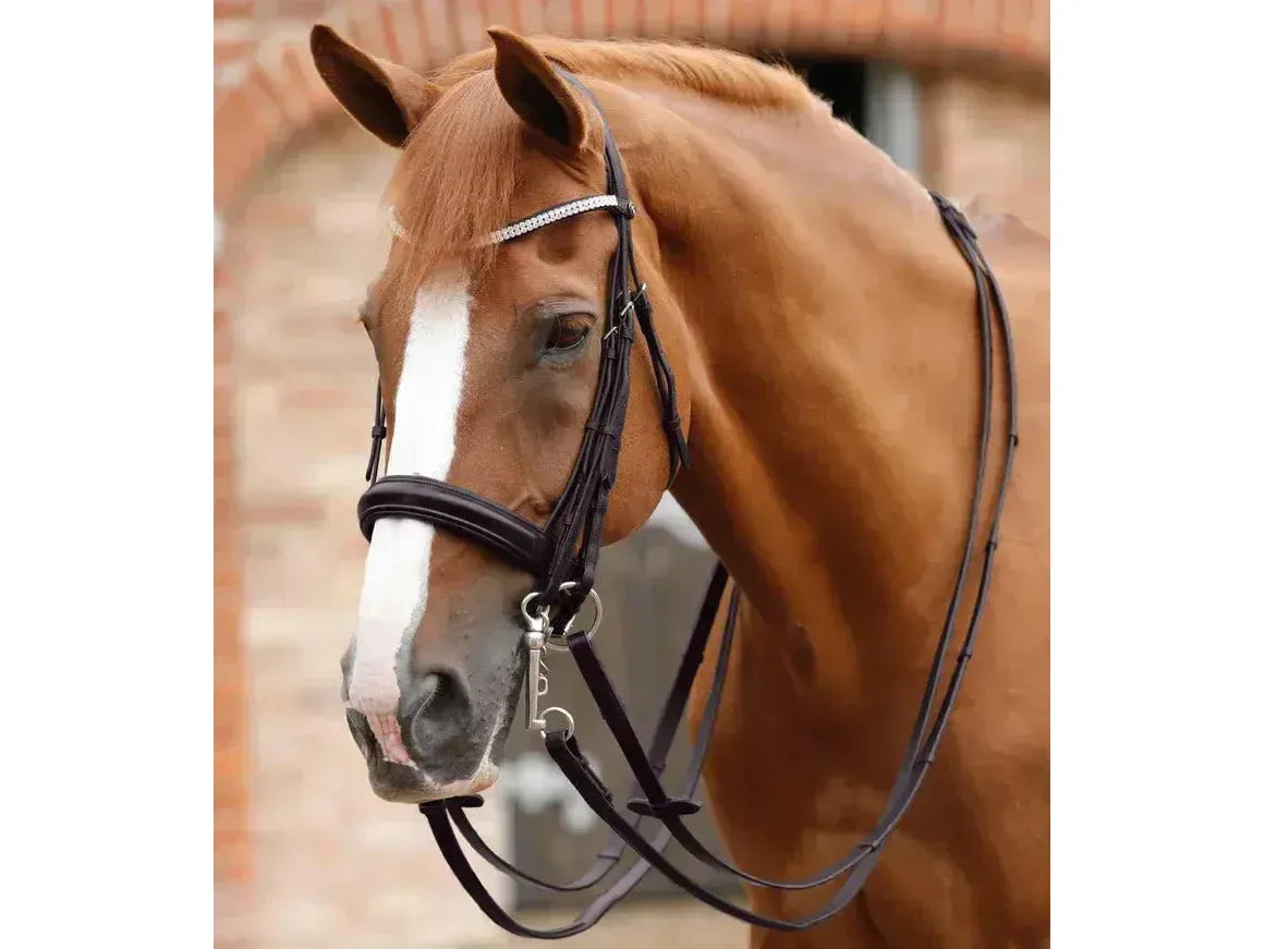 Premier Equine Matteo Leather Grip Reins
