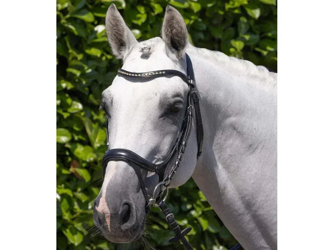 Premier Equine Palazzo Anatomical Bridle