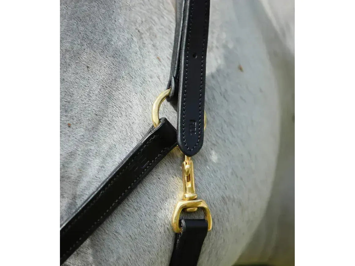 Premier Equine Pasco Plain Leather Head Collar