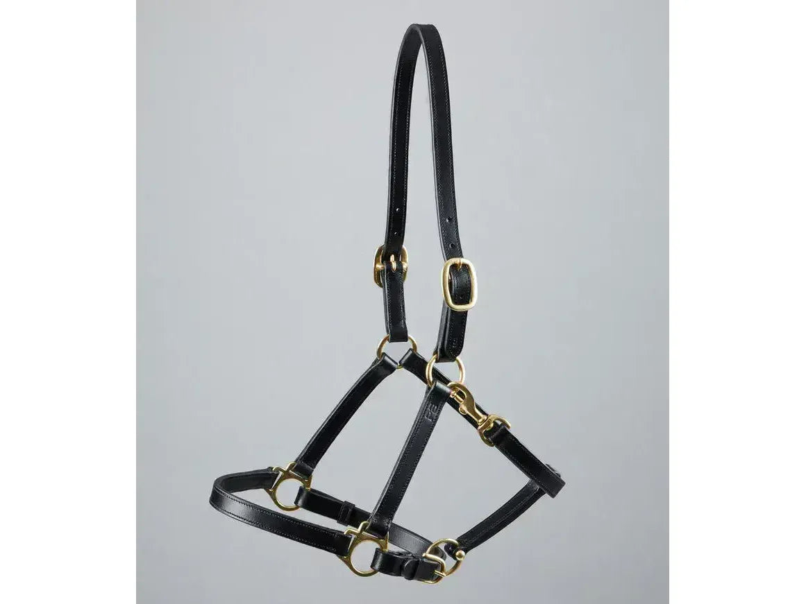 Premier Equine Pasco Plain Leather Head Collar