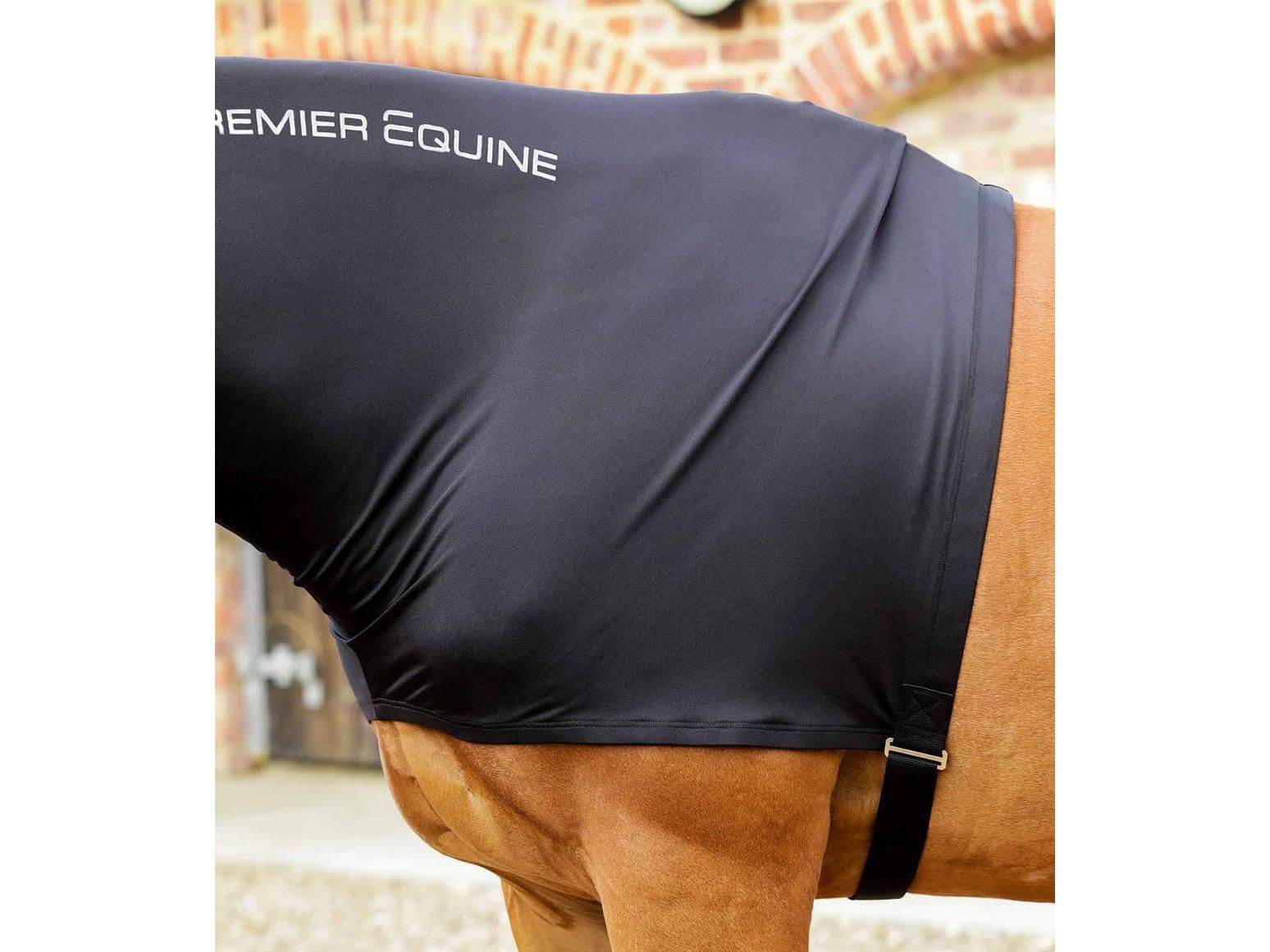 Premier Equine PE Stretch Lycra Hood