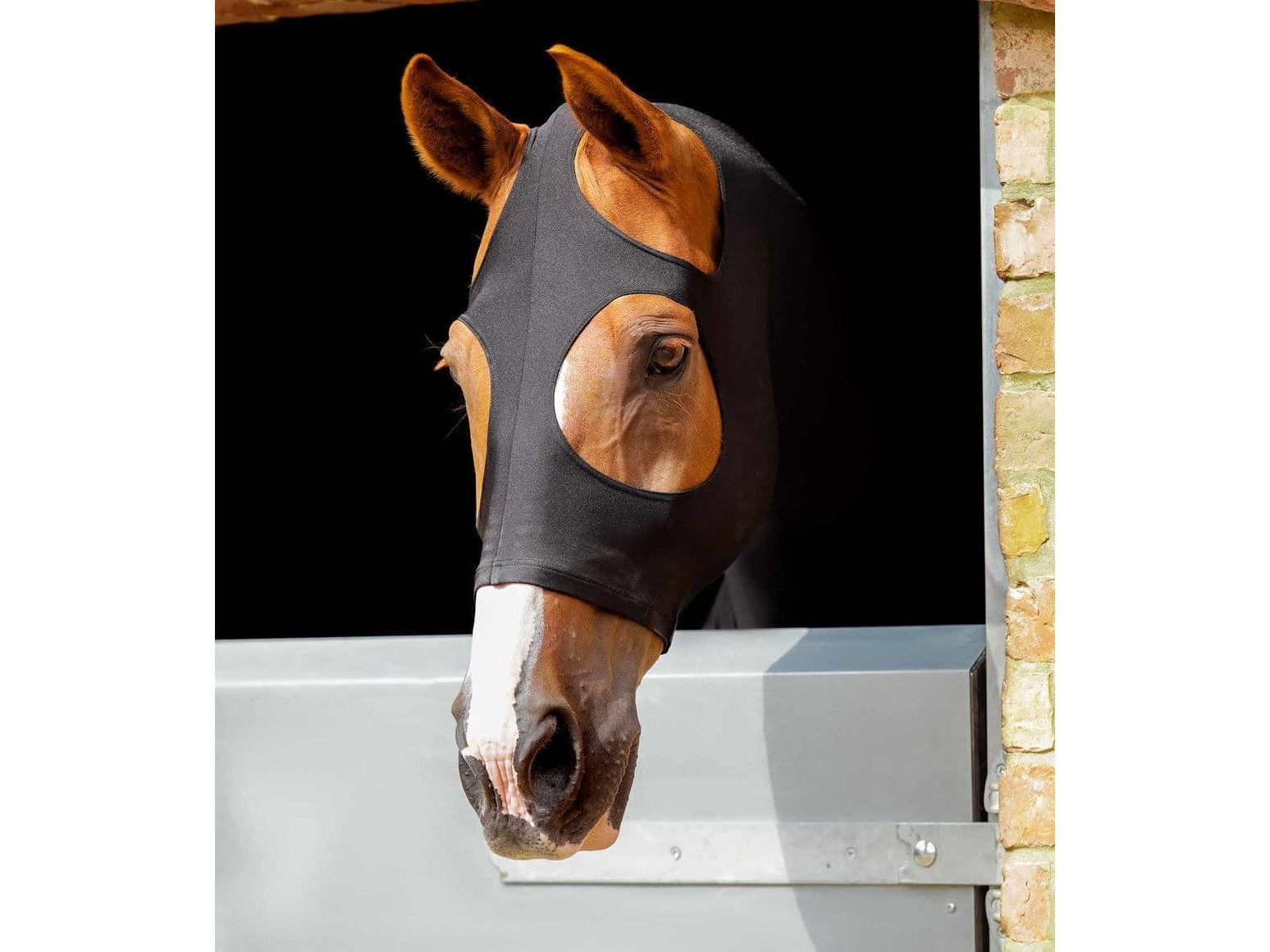 Premier Equine PE Stretch Lycra Hood