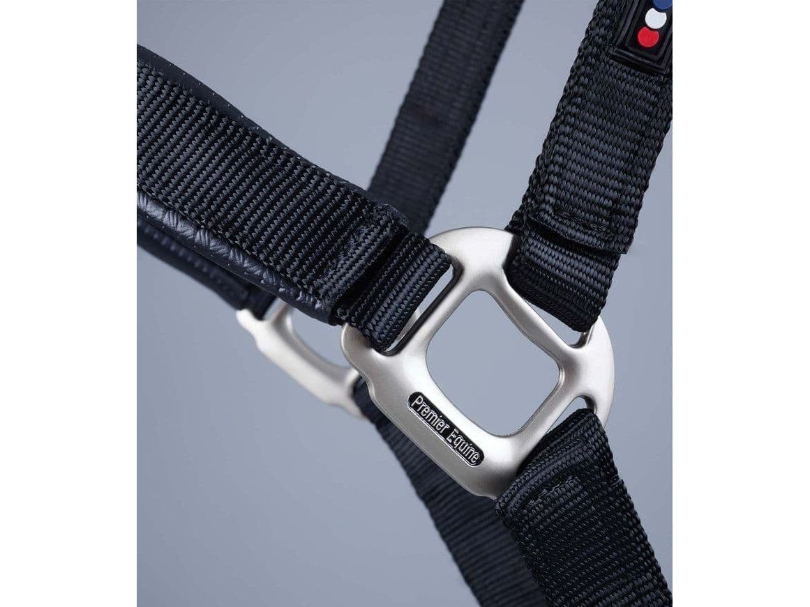 Premier Equine Plain Padded Head Collar