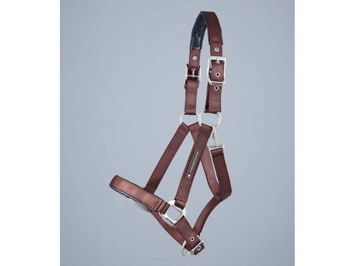 Premier Equine Plain Padded Head Collar