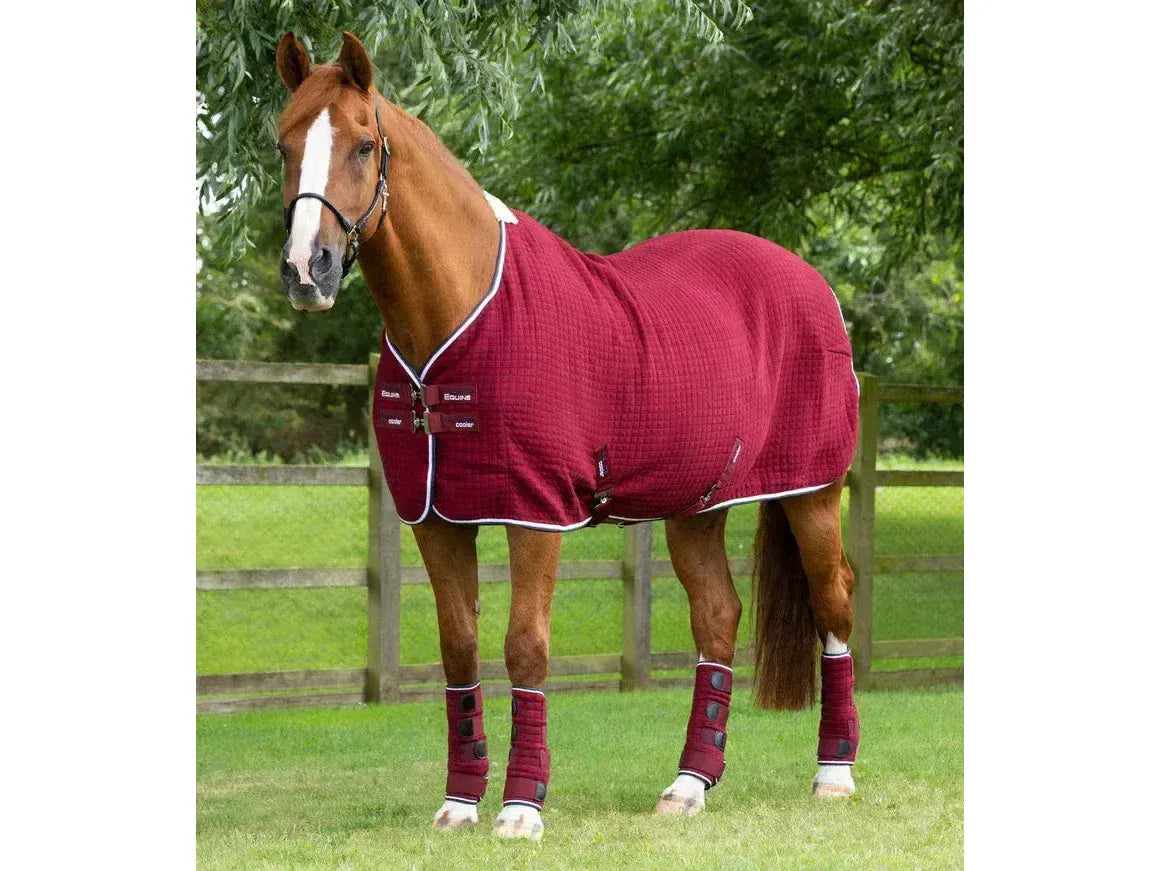 Premier Equine Premtex Horse Cooler Rug
