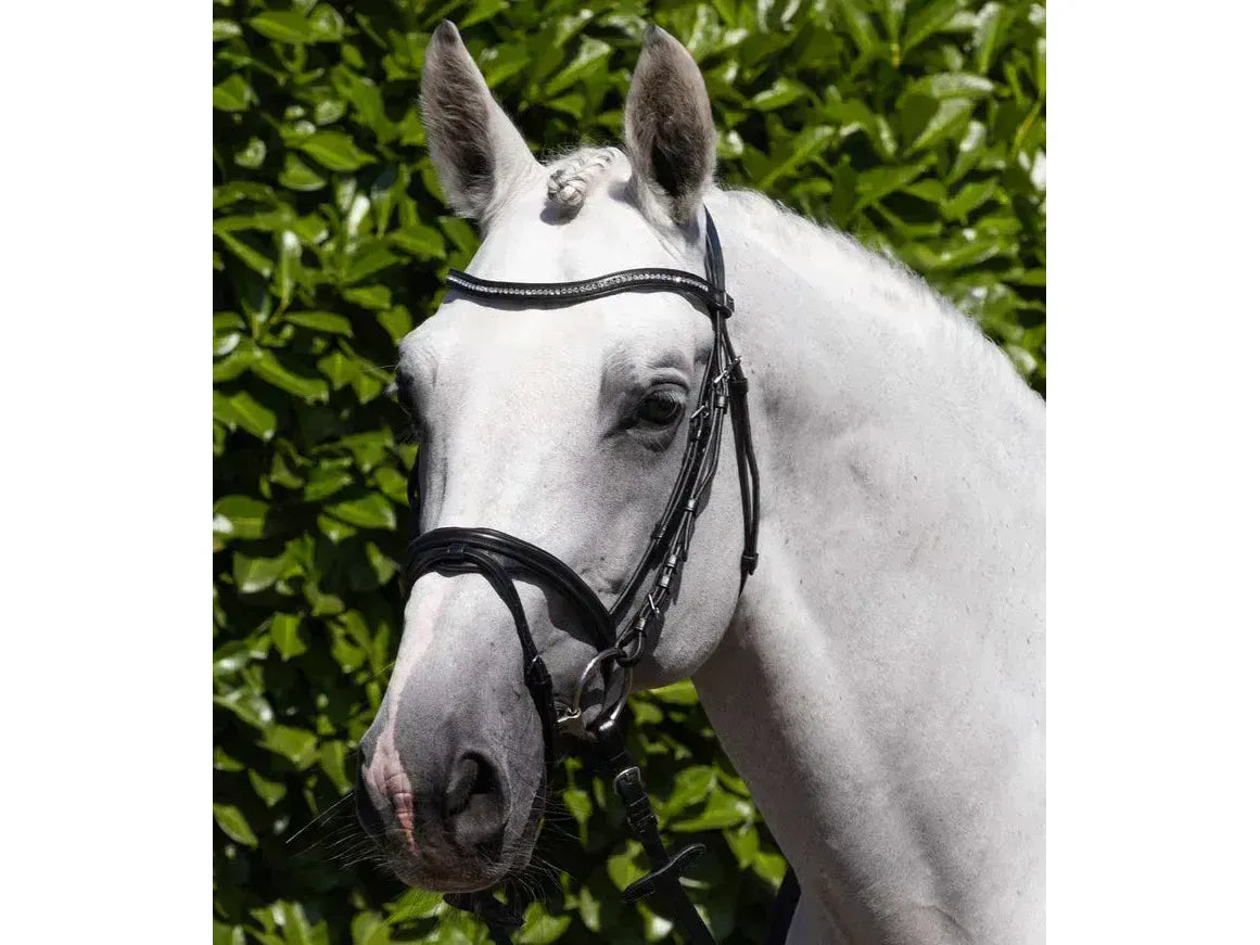 Premier Equine Rivere Snaffle Bridle