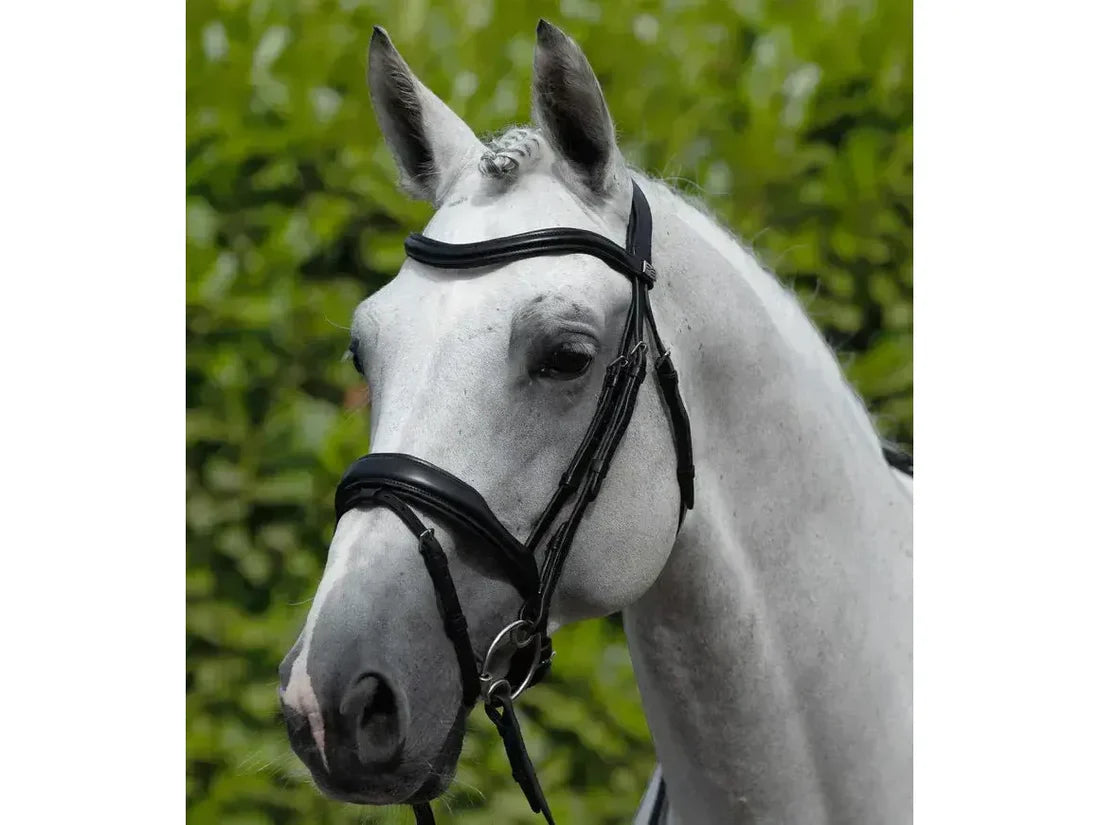 Premier Equine Rizzo Anatomic Snaffle Bridle with Flash Cob Black RRP £99.79