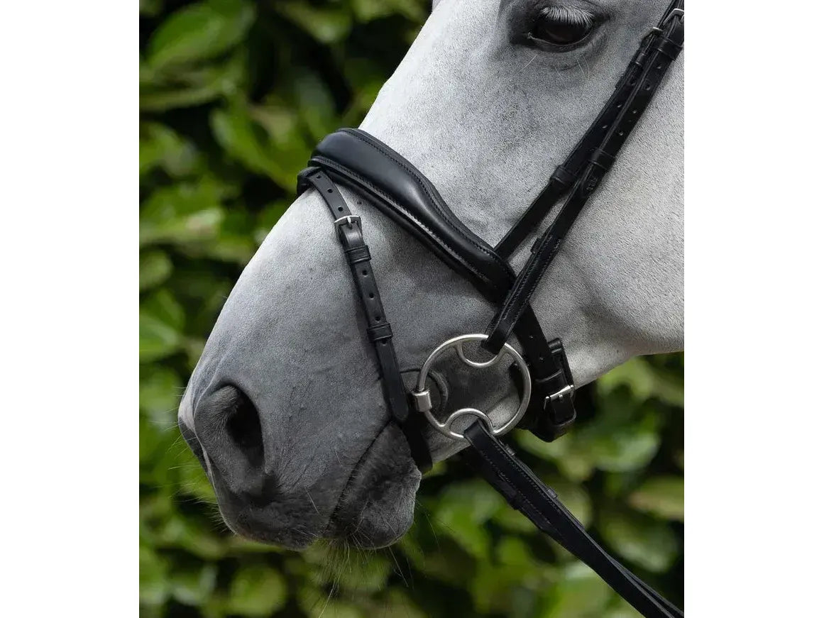 Premier Equine Rizzo Anatomic Snaffle Bridle with Flash