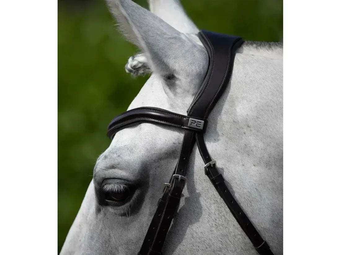 Premier Equine Rizzo Anatomic Snaffle Bridle with Flash Cob Black RRP £99.79