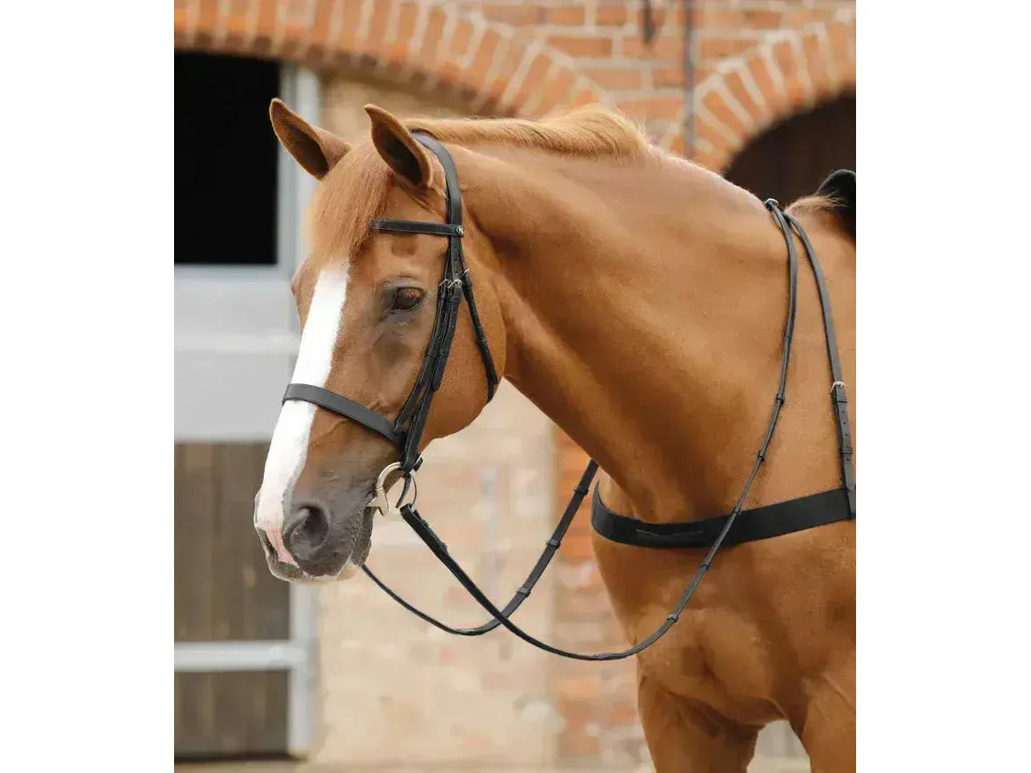 Premier Equine Salvatore Rubber & Leather Grip Reins