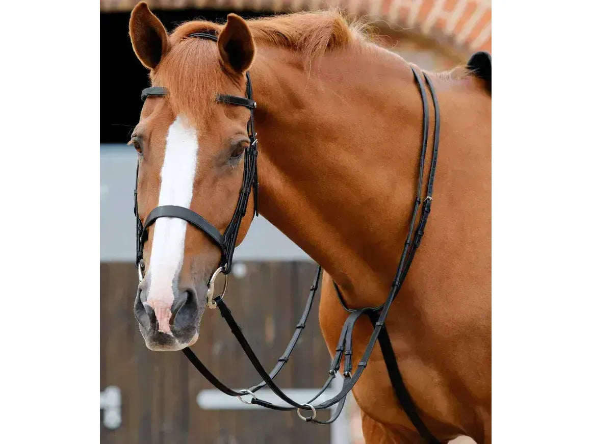 Premier Equine Santadi Adjustable Running Martingale