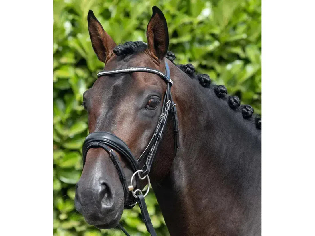 Premier Equine Stellazzio Anatomic Snaffle Bridle with Flash Cob Black RRP £102.96