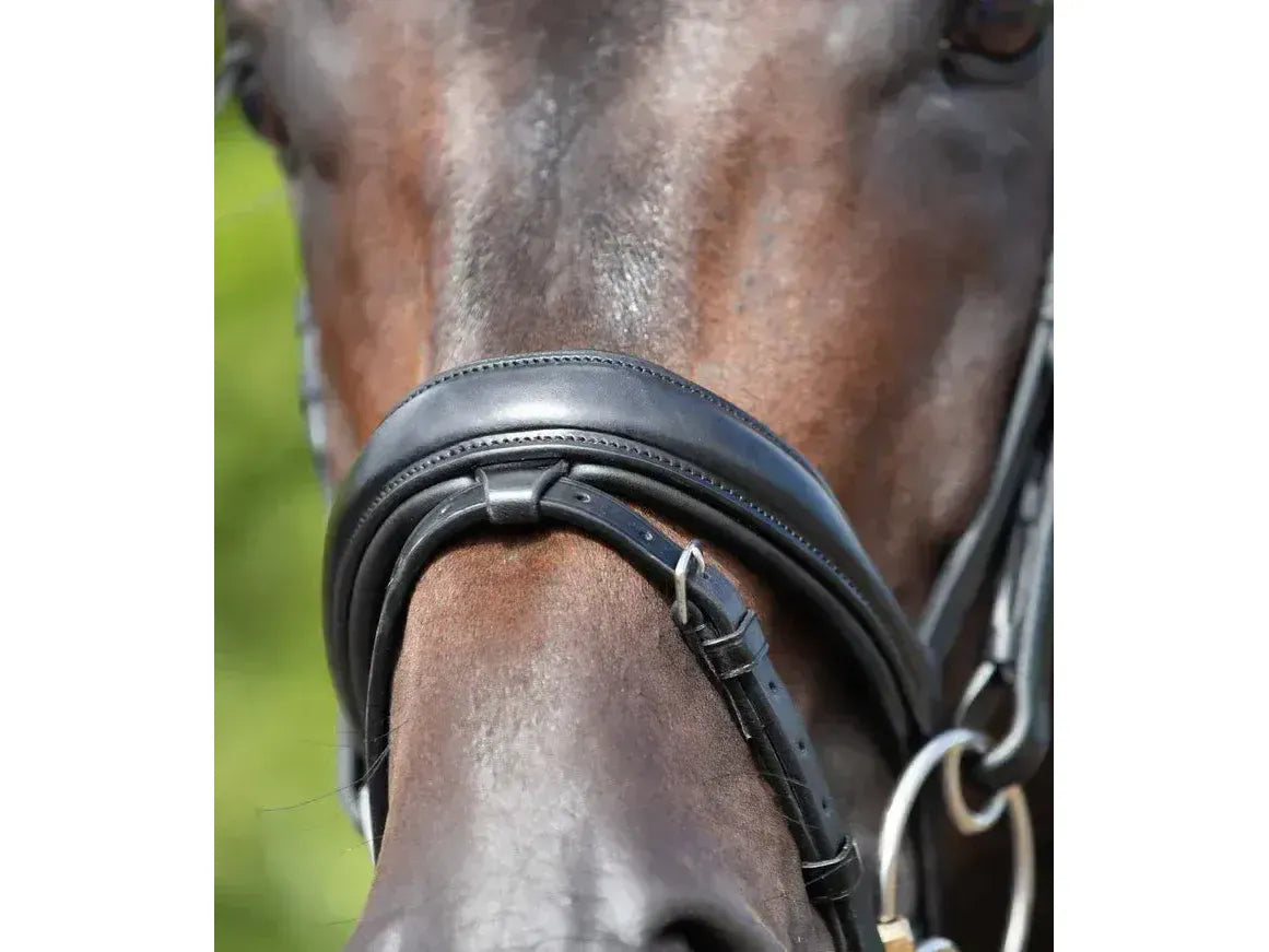 Premier Equine Stellazzio Anatomic Snaffle Bridle with Flash