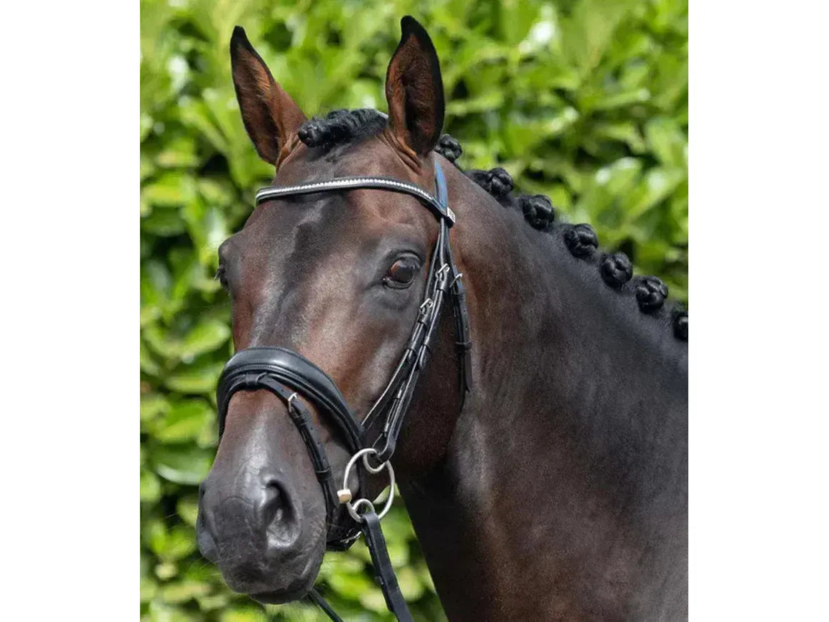 Premier Equine Stellazzio Anatomic Snaffle Bridle with Flash