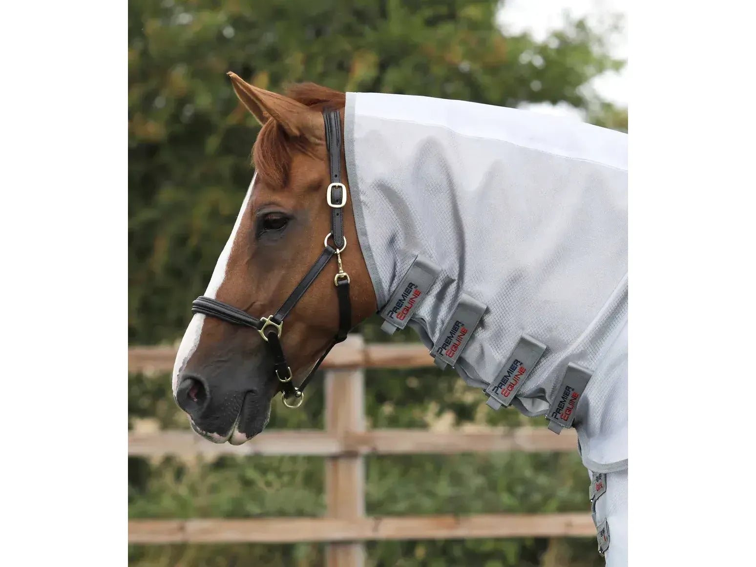 Premier Equine Super Lite Fly Rug with Surcingles