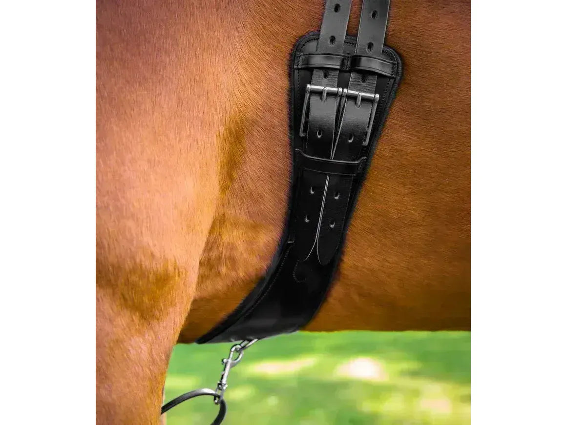 Premier Equine Tamarro Anatomic Leather Girth