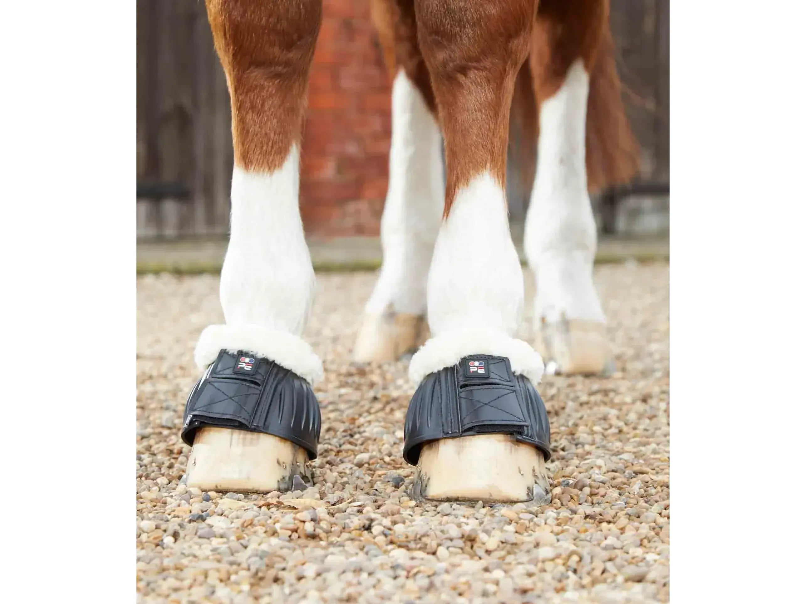Premier Equine Techno Wool Rubber Bell Over Reach Boots