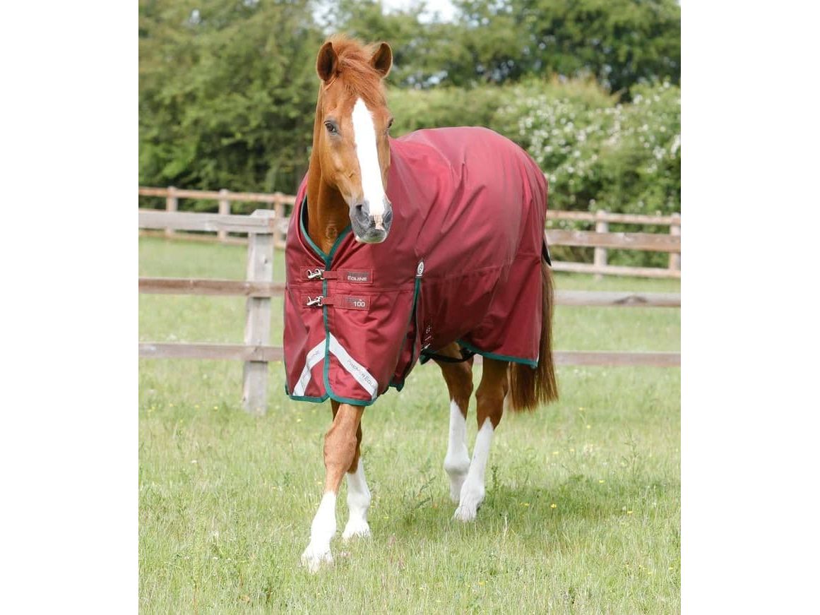 Premier Equine Titan 100g Original Turnout Rug