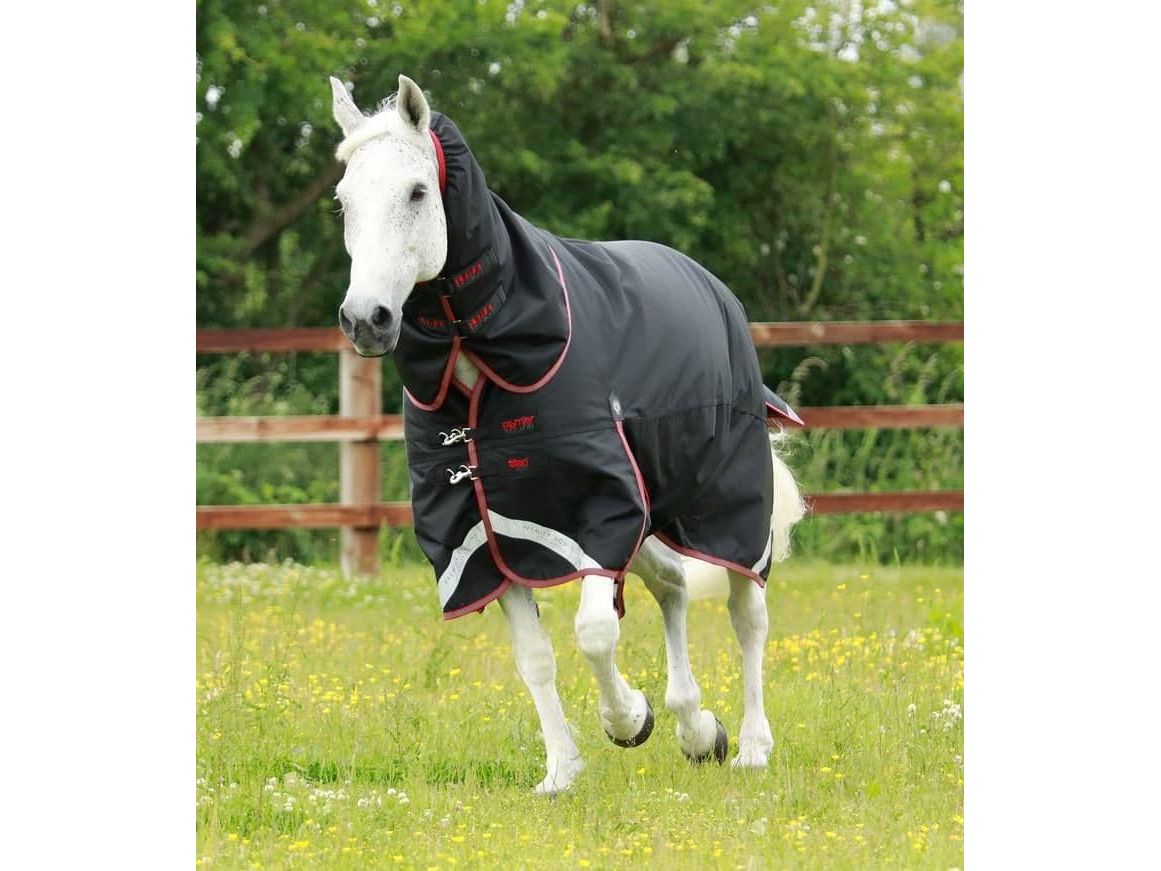 Premier Equine Titan 100g Turnout Rug with Snug-Fit Neck Cover