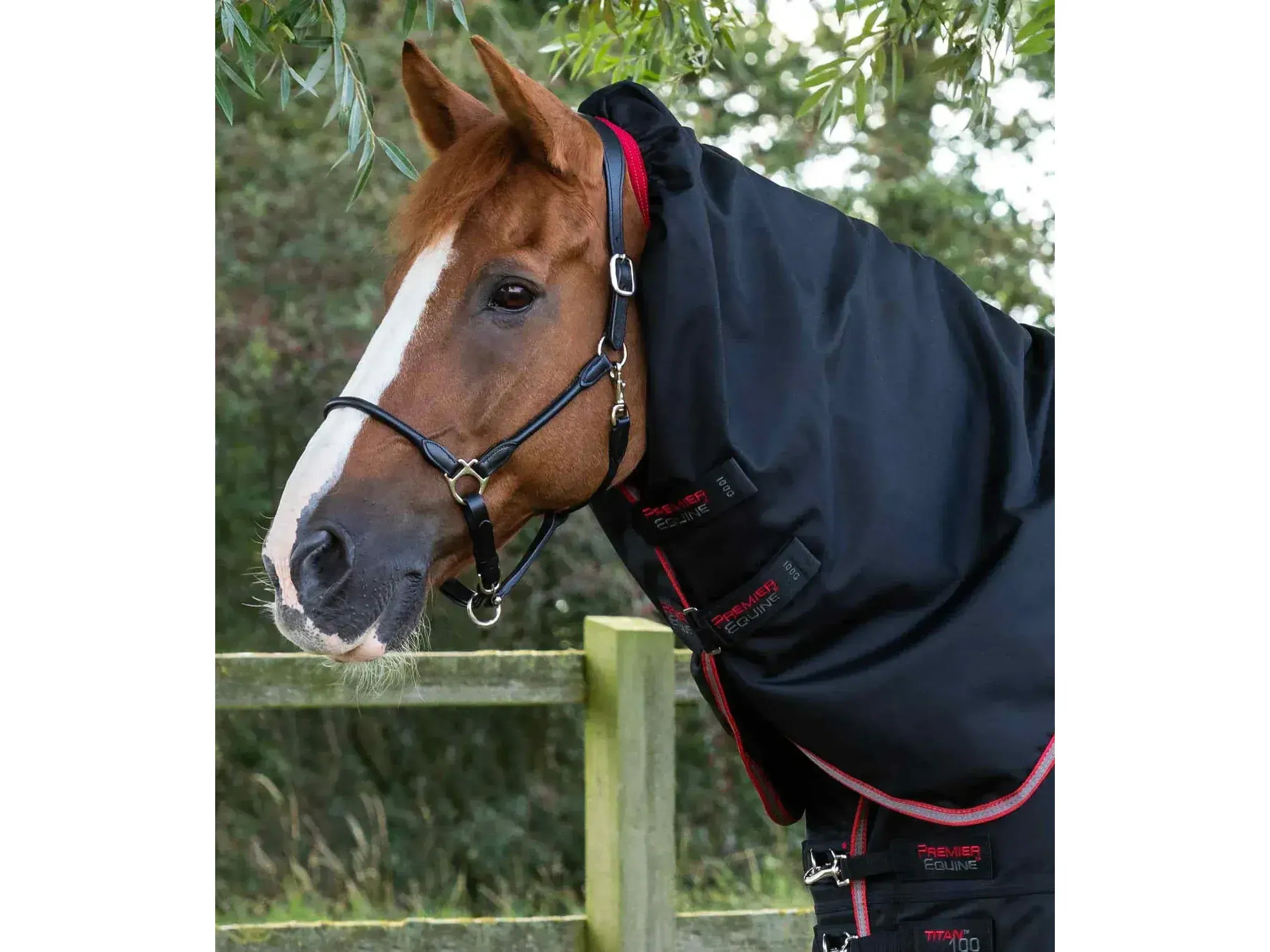 Premier Equine Titan 100g Turnout Rug with Snug-Fit Neck Cover