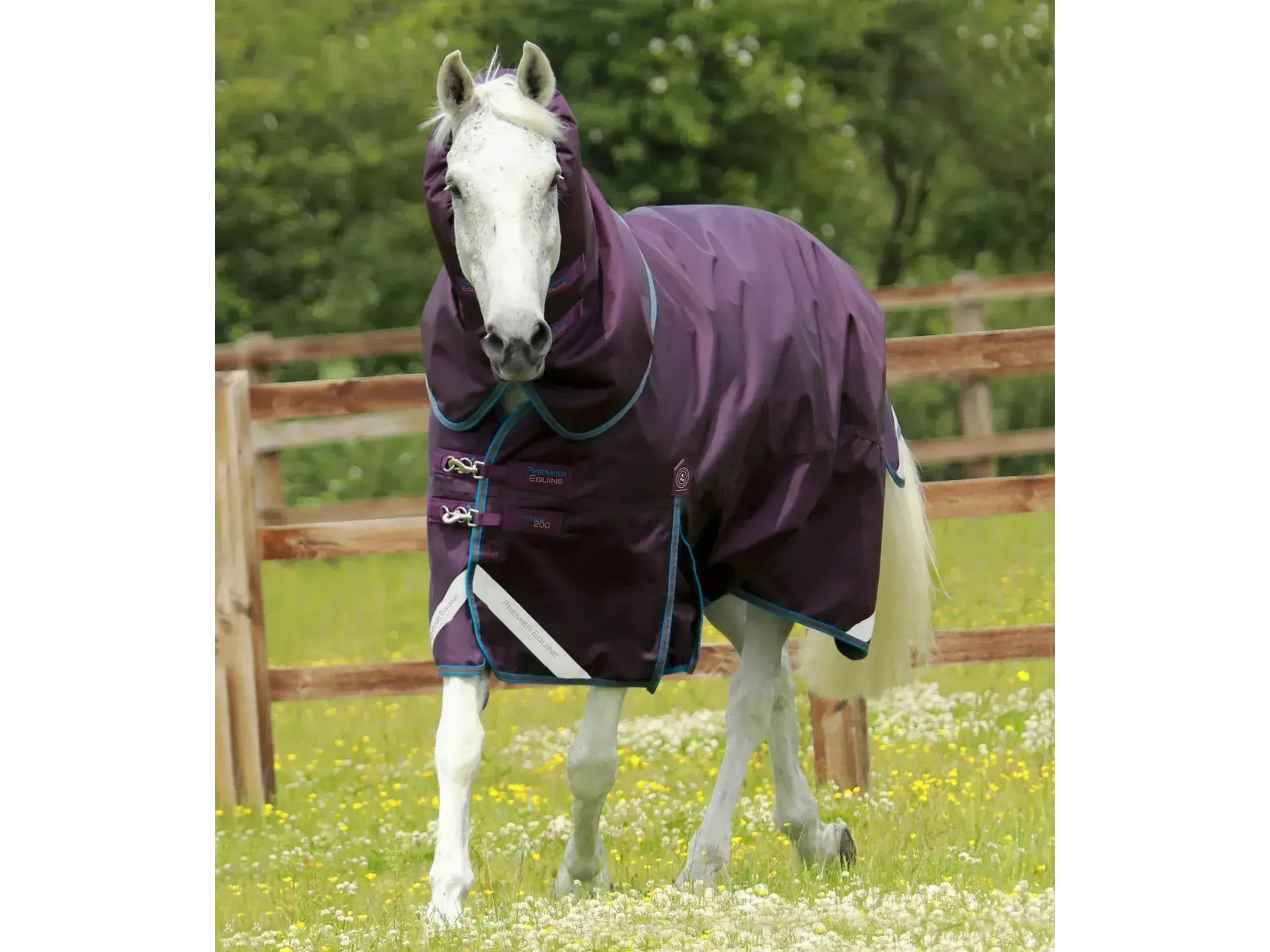 Premier Equine Titan 200g Turnout Rug with Snug-Fit Neck Cover
