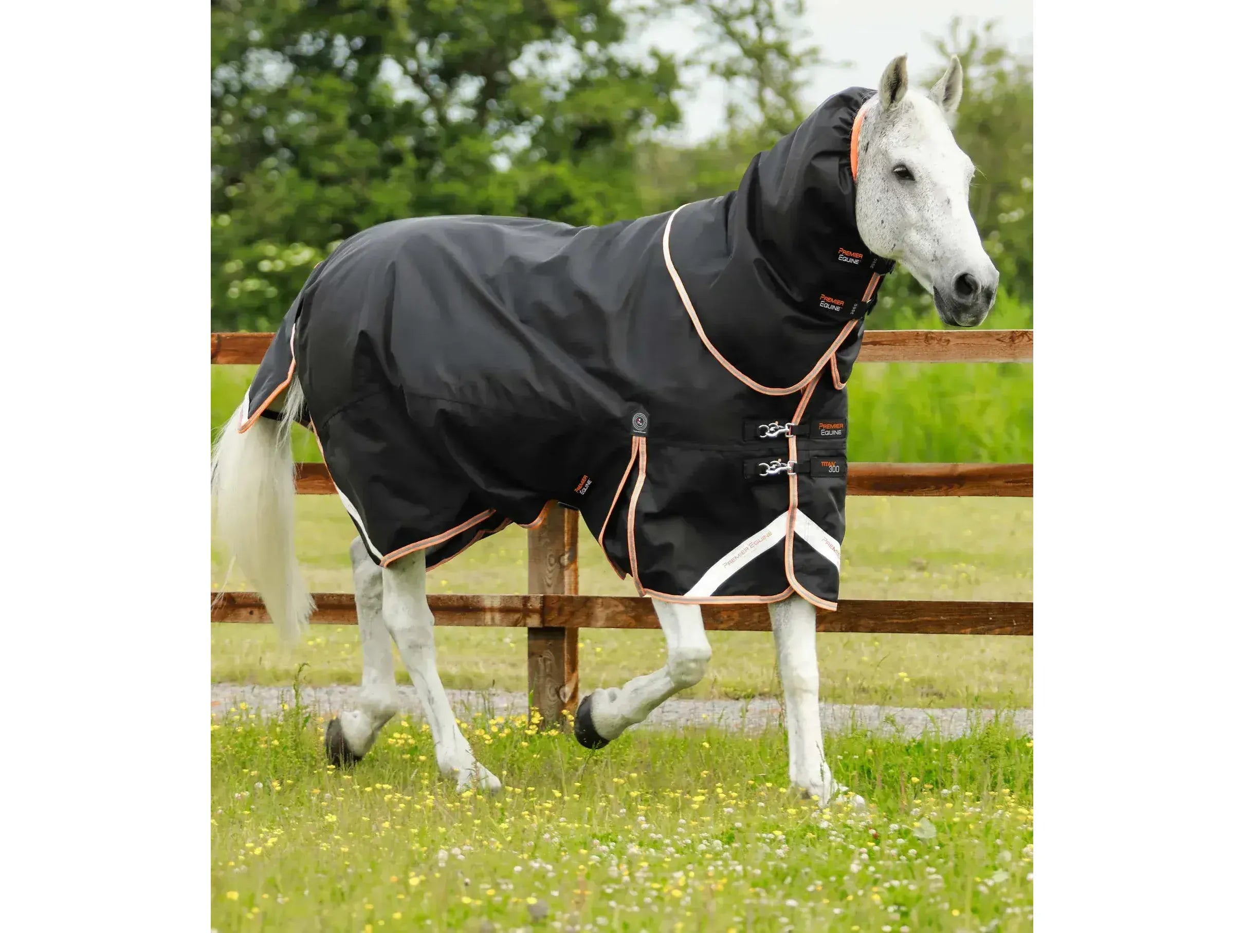 Premier Equine Titan 300g Turnout Rug with Snug-Fit Neck Cover