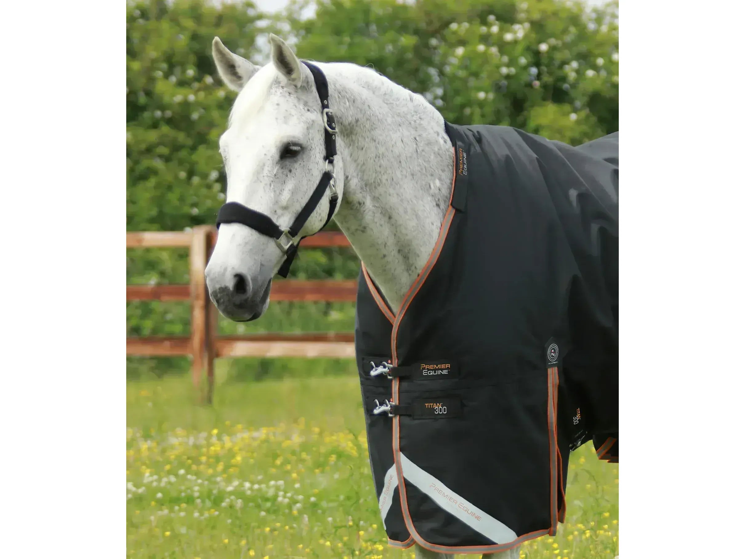 Premier Equine Titan 300g Turnout Rug with Snug-Fit Neck Cover