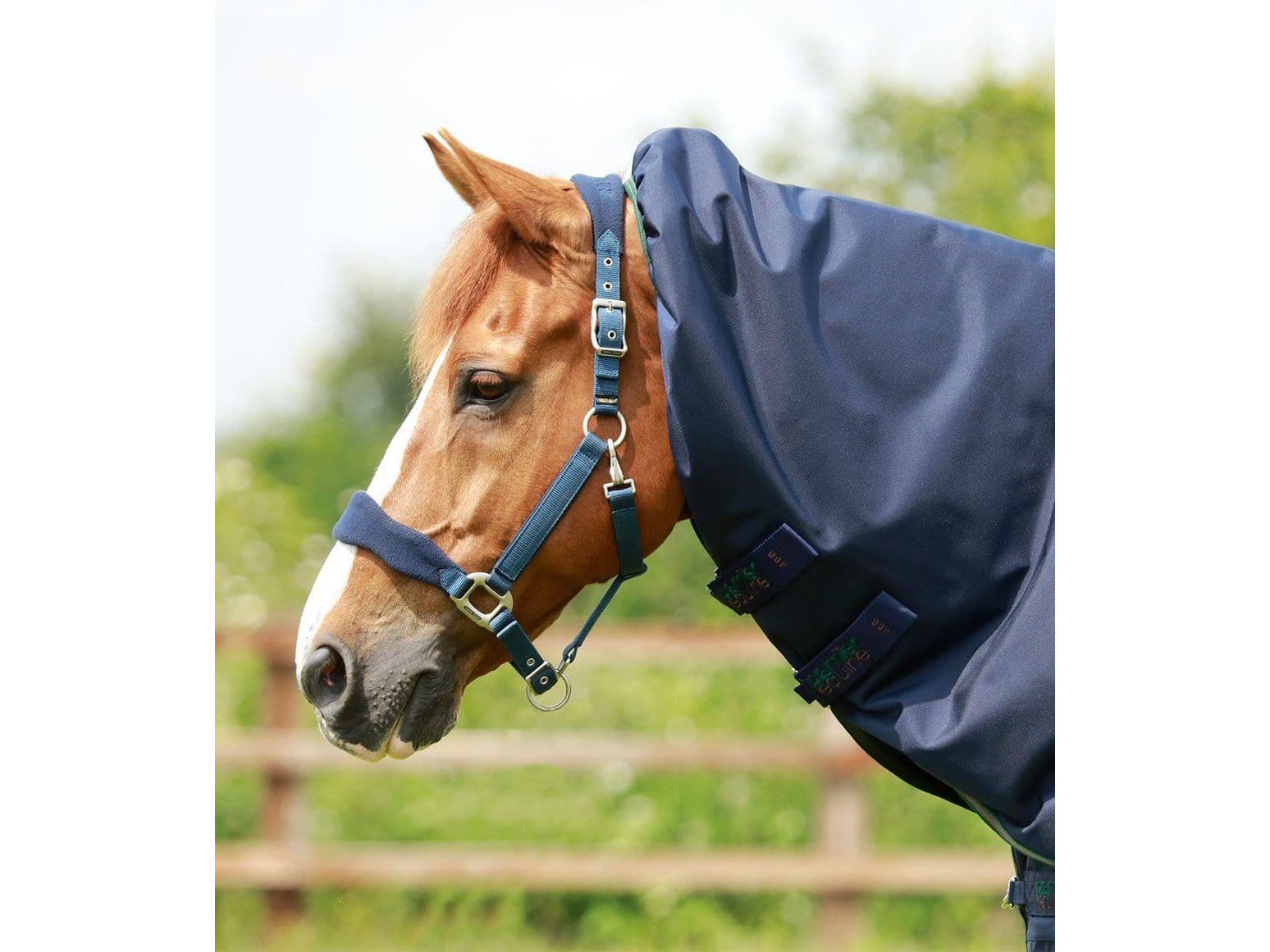 Premier Equine Titan 40g Turnout Rug with Snug-Fit Neck Cover