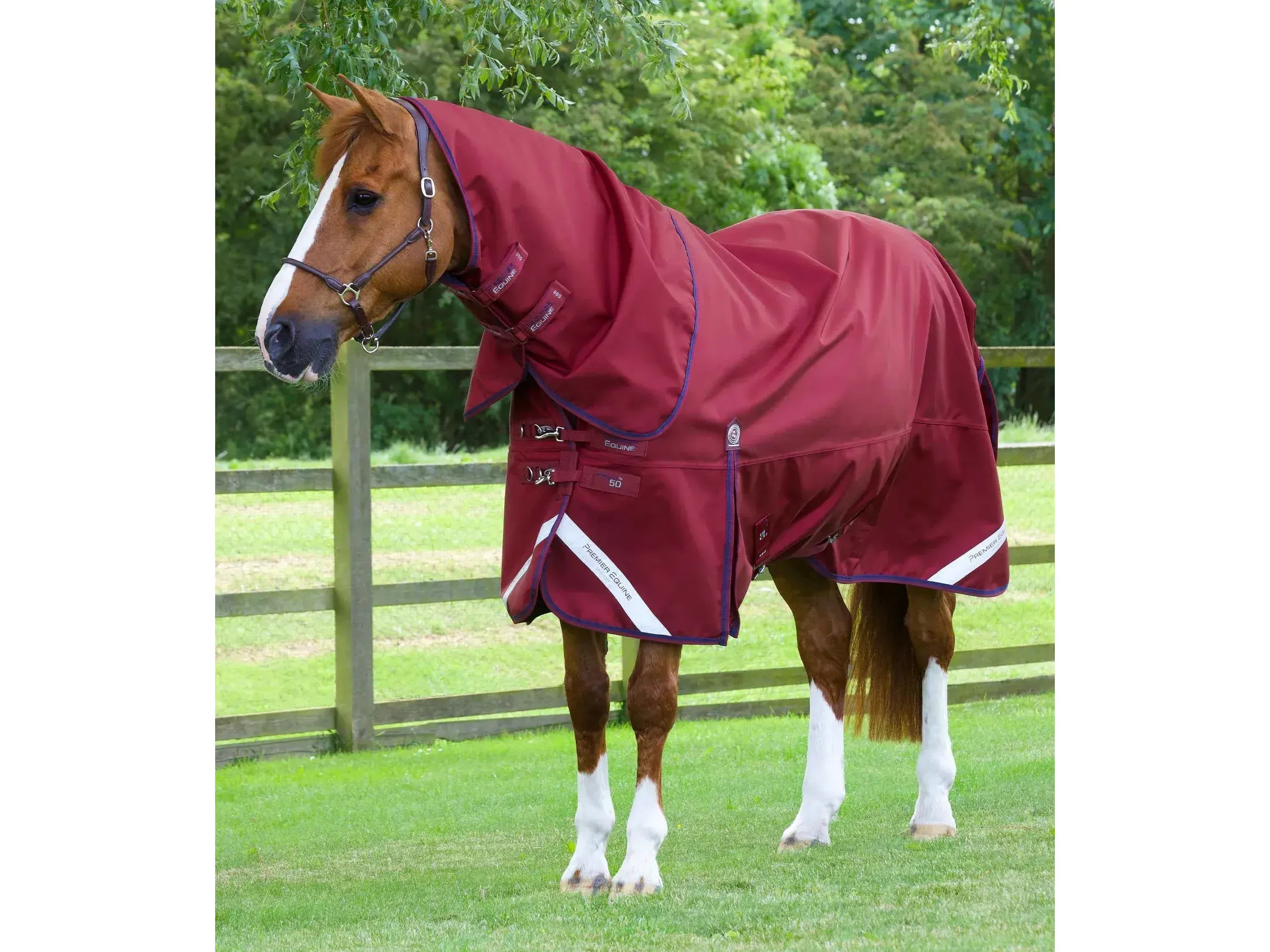 Premier Equine Titan 50g Turnout Rug inc neck cover