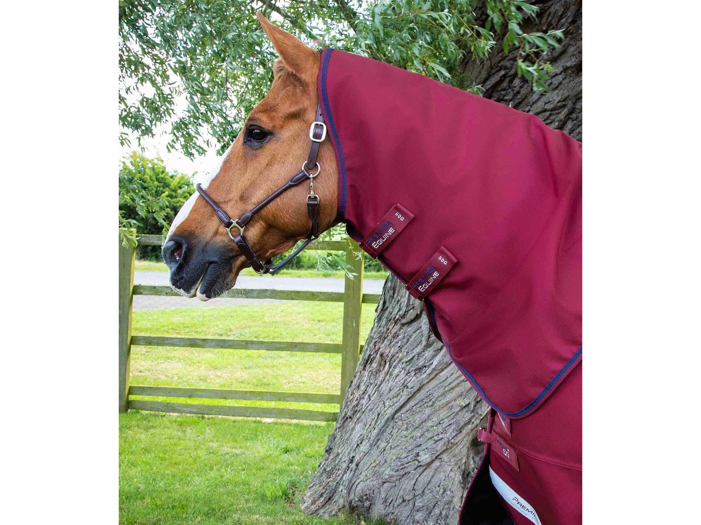 Premier Equine Titan 50g Turnout Rug inc neck cover