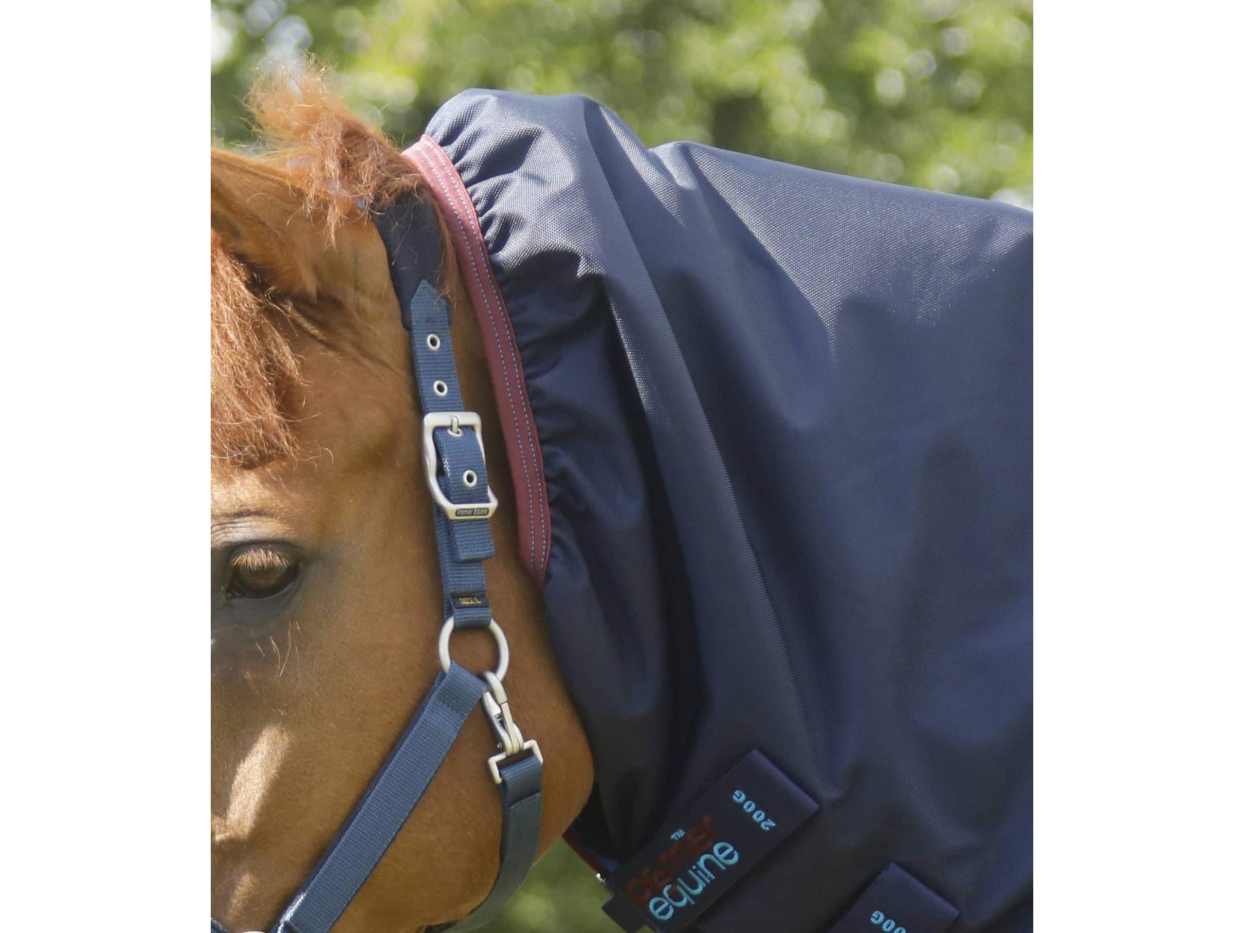 Premier Equine Titan Storm 200g Combo Turnout Rug with Snug-Fit Neck