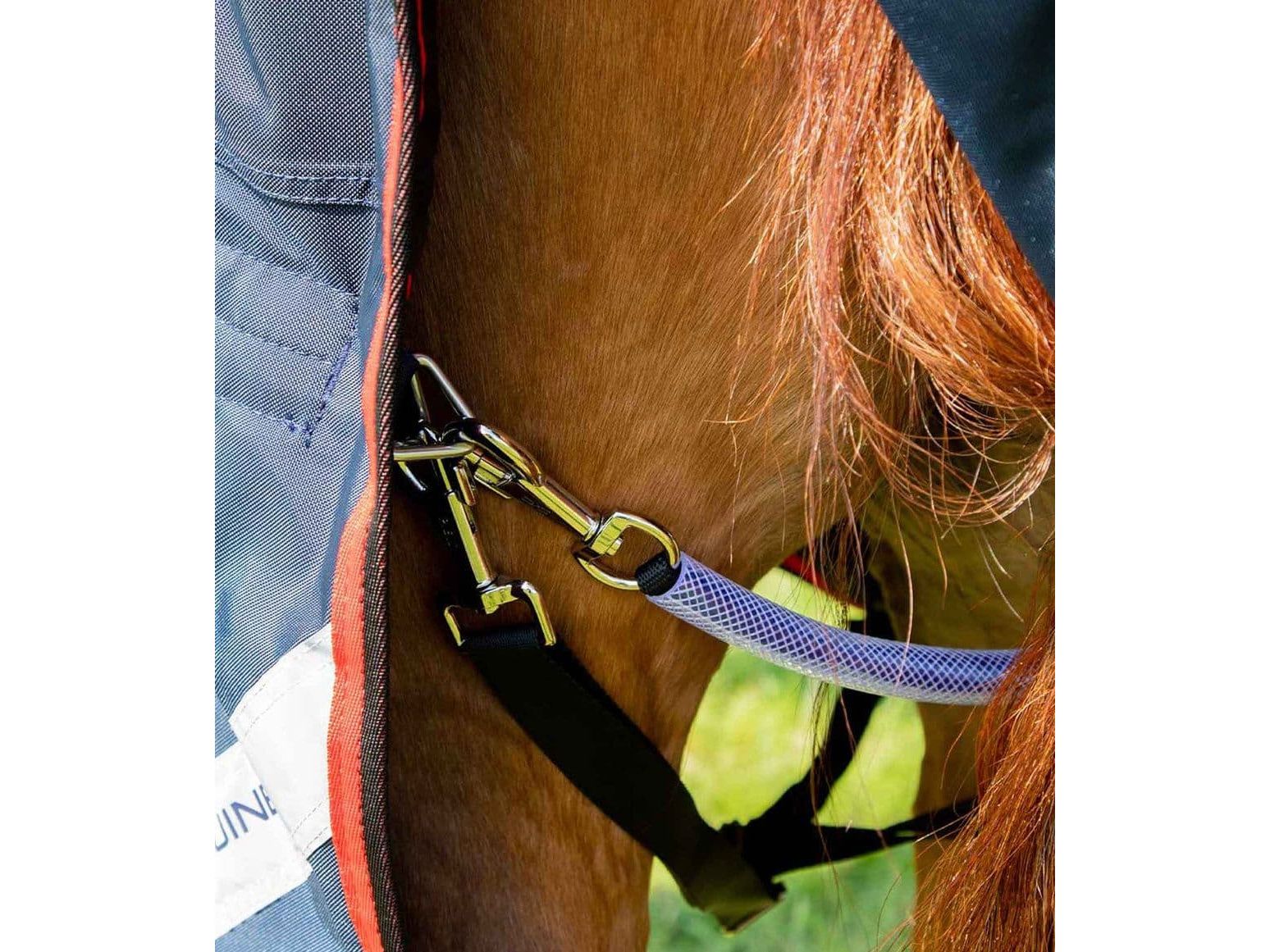 Premier Equine Triangle Ring