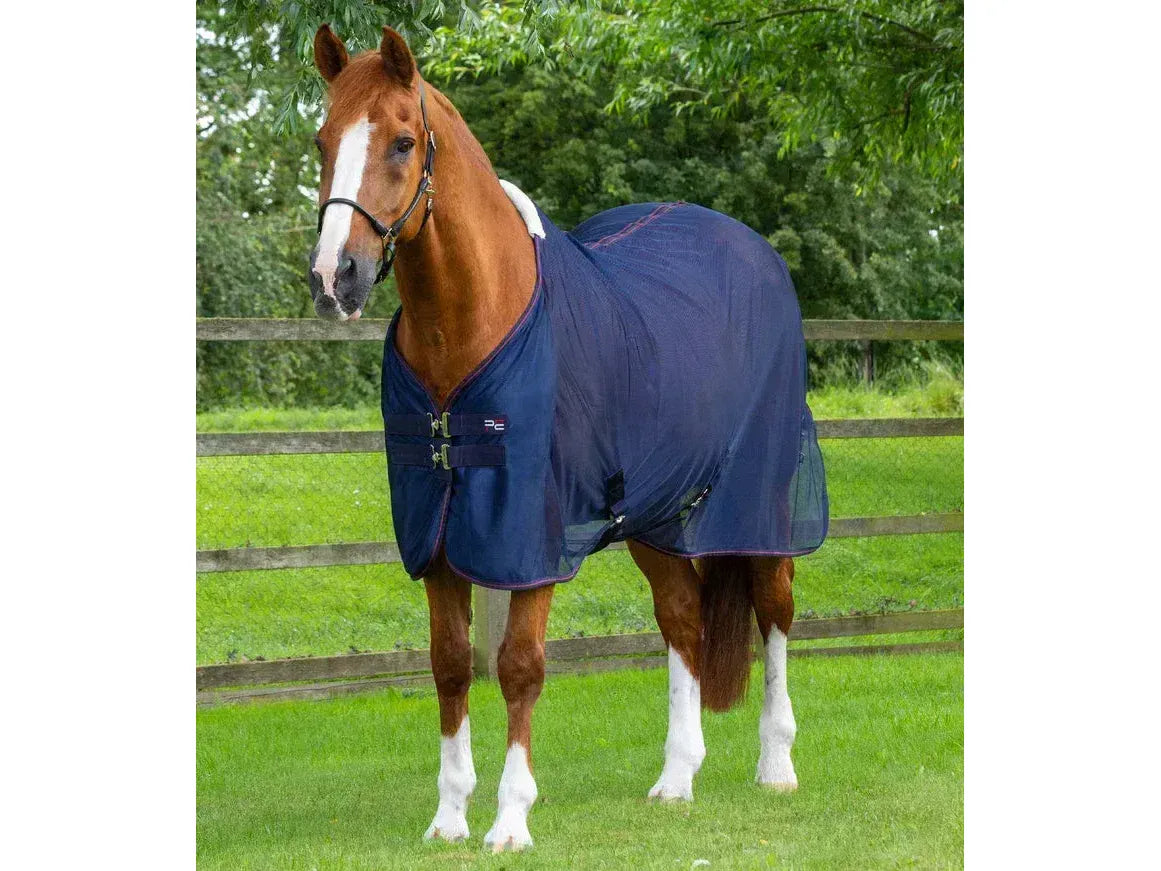 Premier Equine Ventoso Mesh Cooler Rug