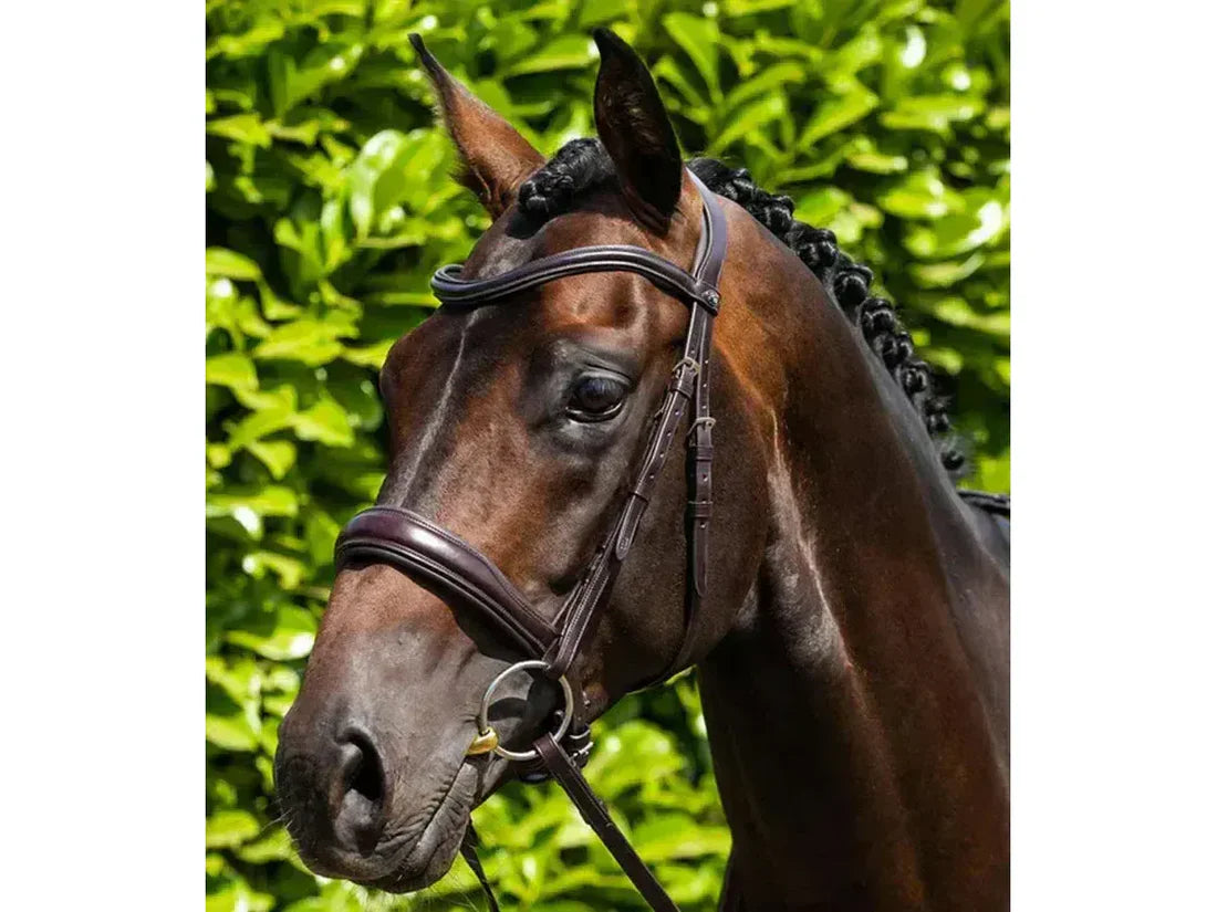 Premier Equine Verdura Anatomic Snaffle Bridle ExFull Dark Brown RRP £96.62