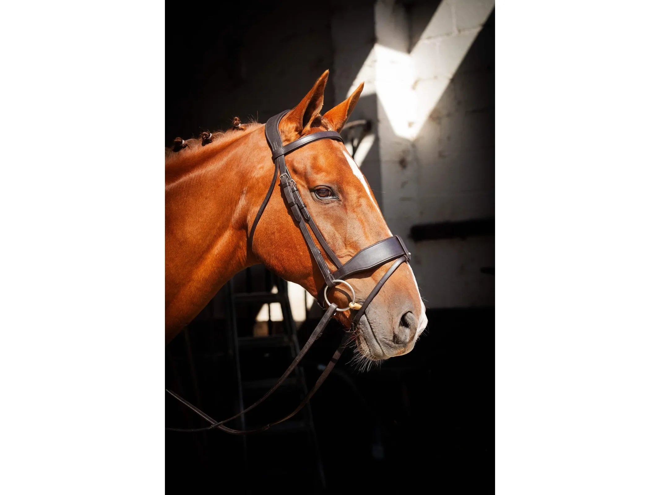 EcoRider Show Comfort Bridle - Brown XFull RRP £115 main view