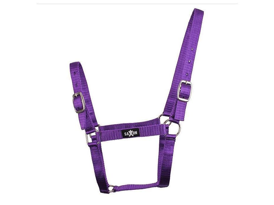 Saxon Economy Headcollar