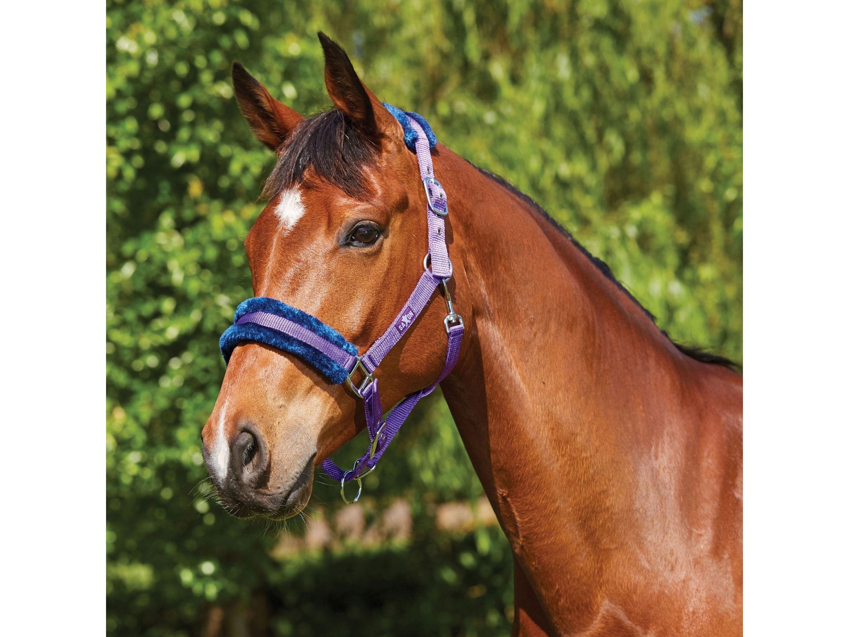 Saxon Element Fleece Headcollar