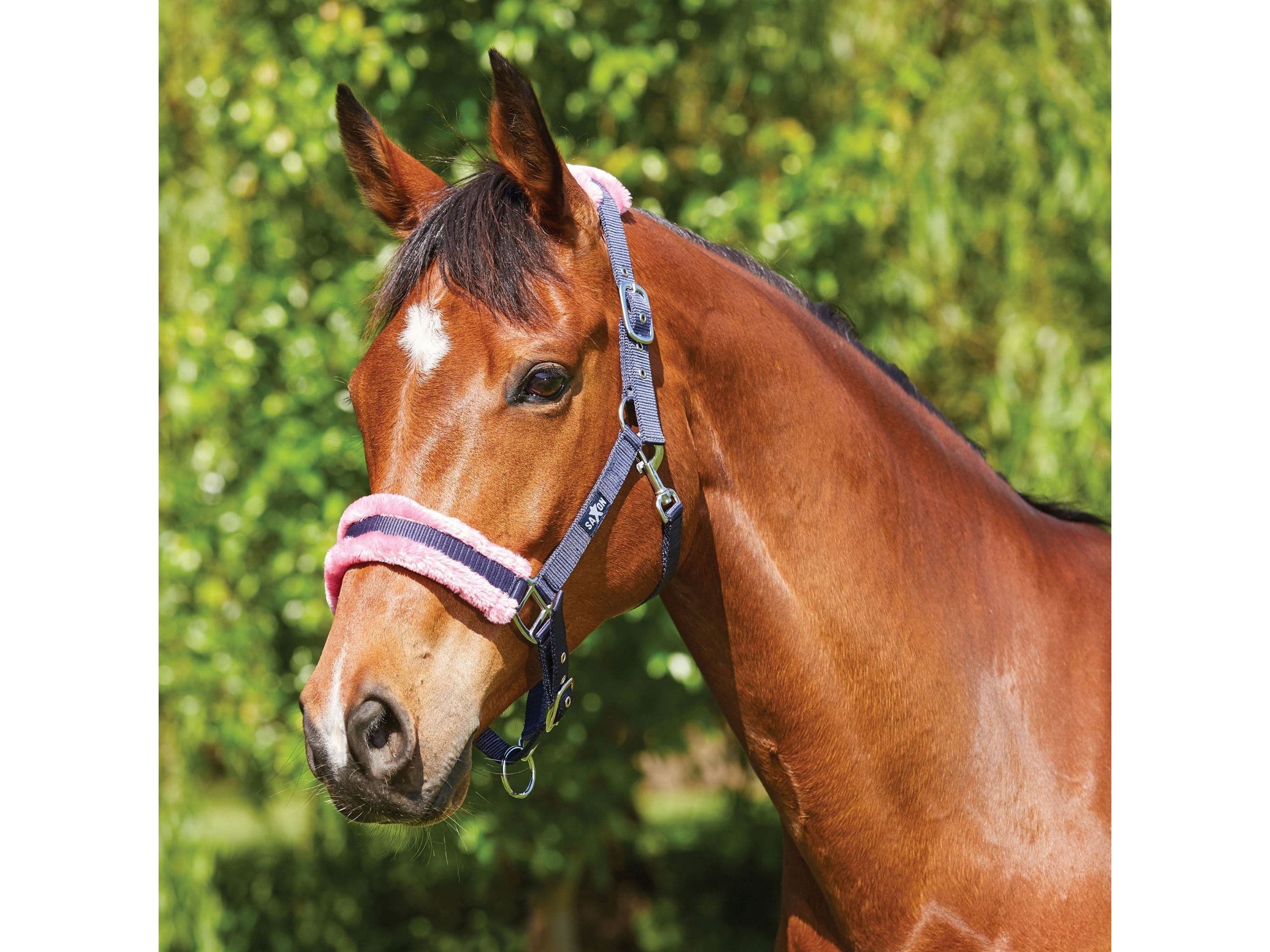 Saxon Element Fleece Headcollar