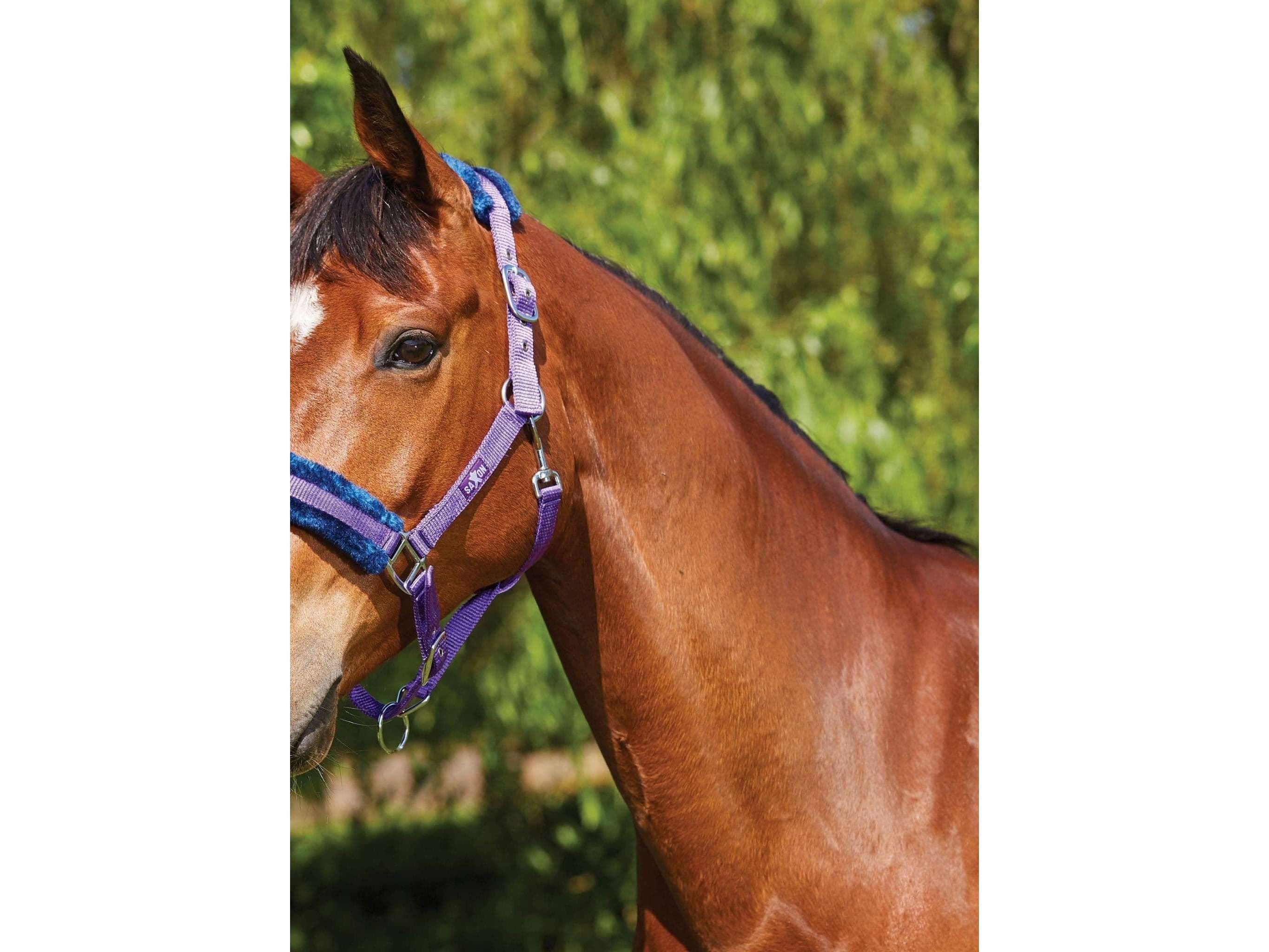 Saxon Element Fleece Headcollar