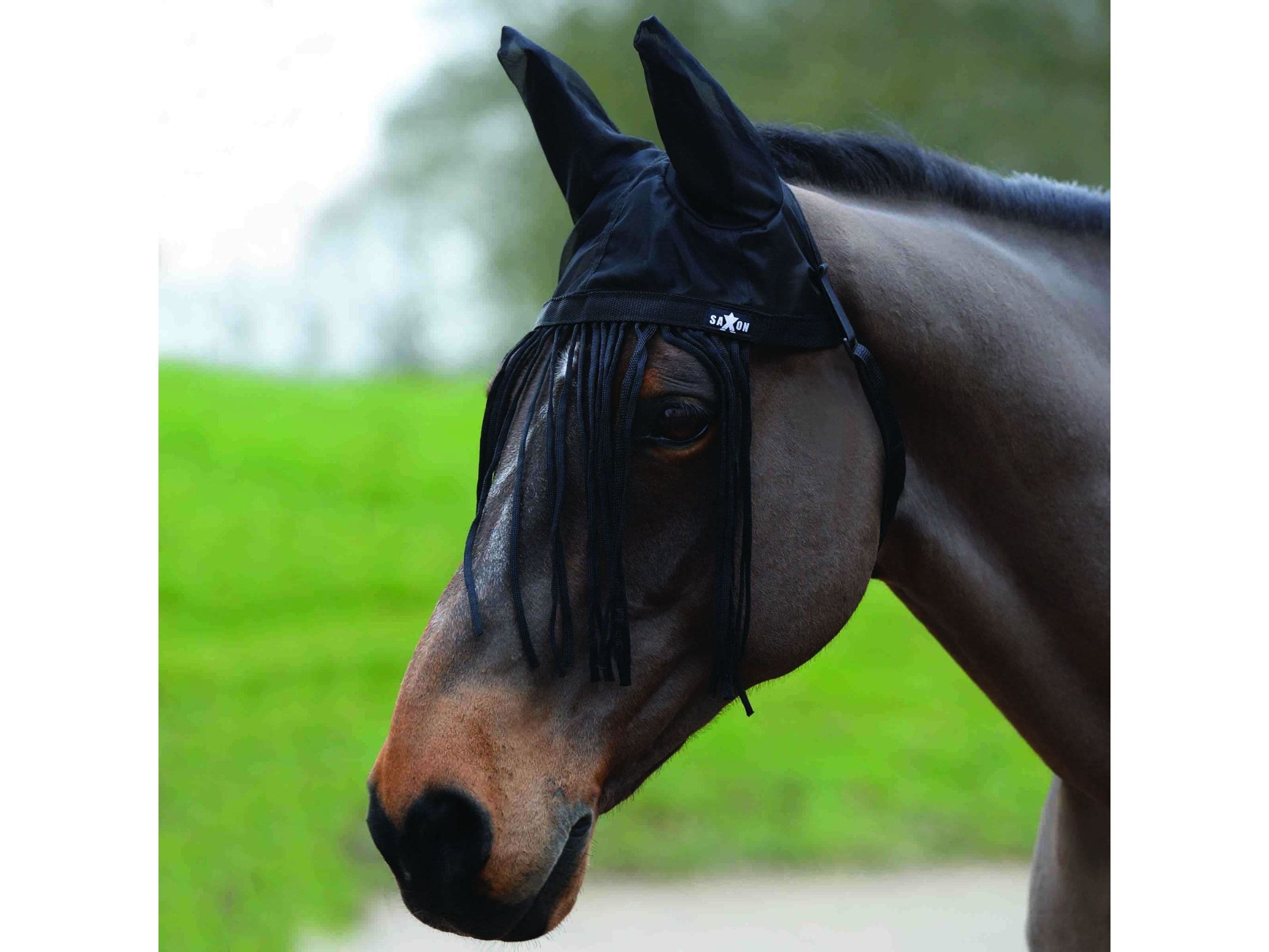 Saxon Fly Fringe With Ears