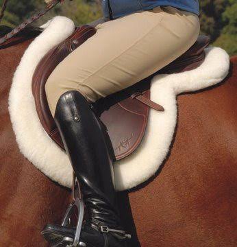 Saddle Pads & Numnahs