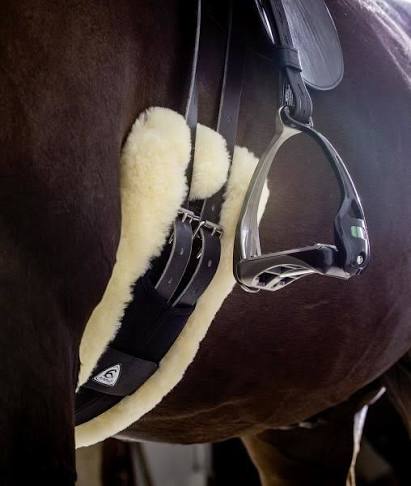Stirrups & Stirrup Leathers