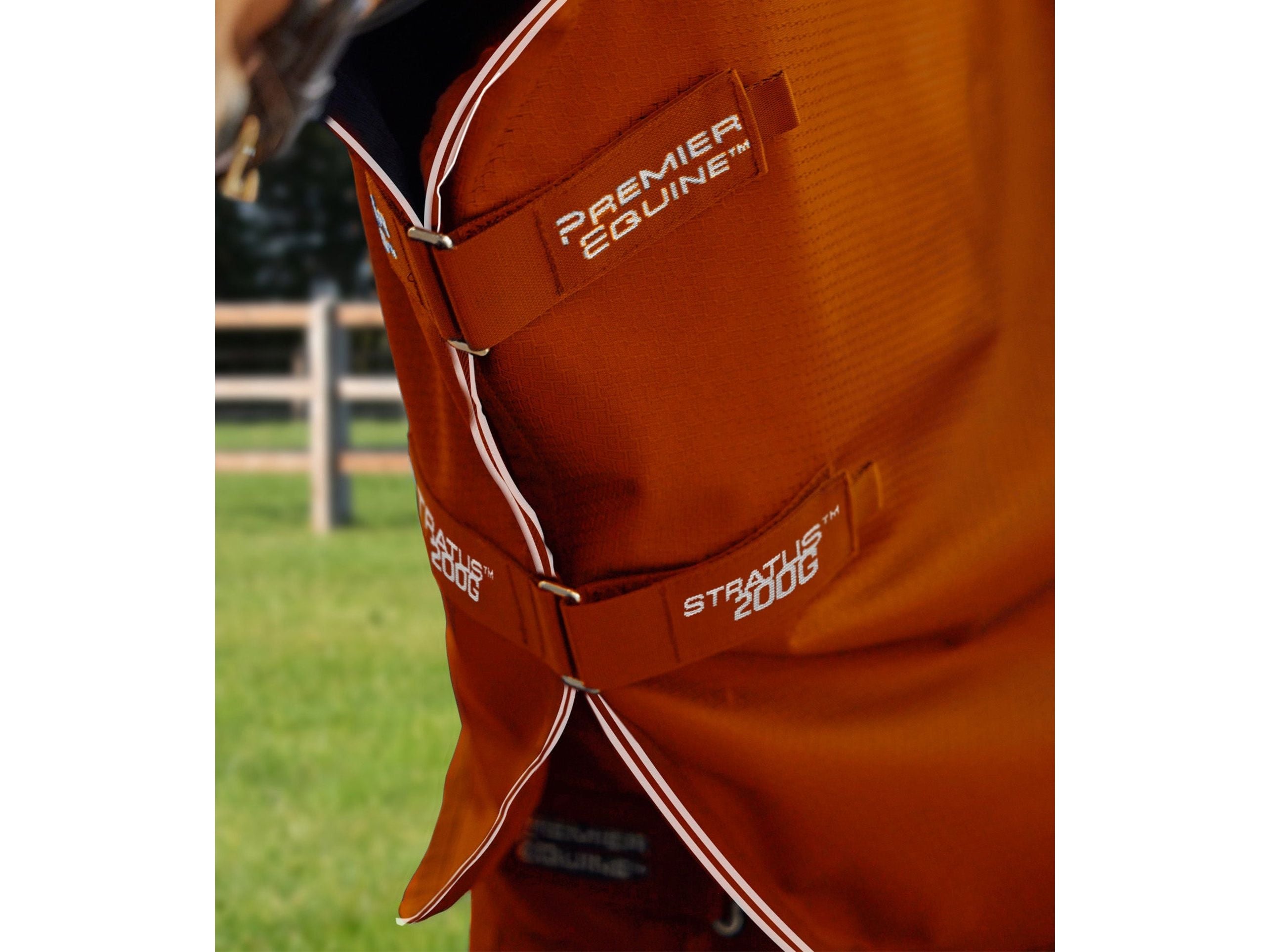 Stratus 600D Series 200g Turnout Rug with Classic Neck Cover