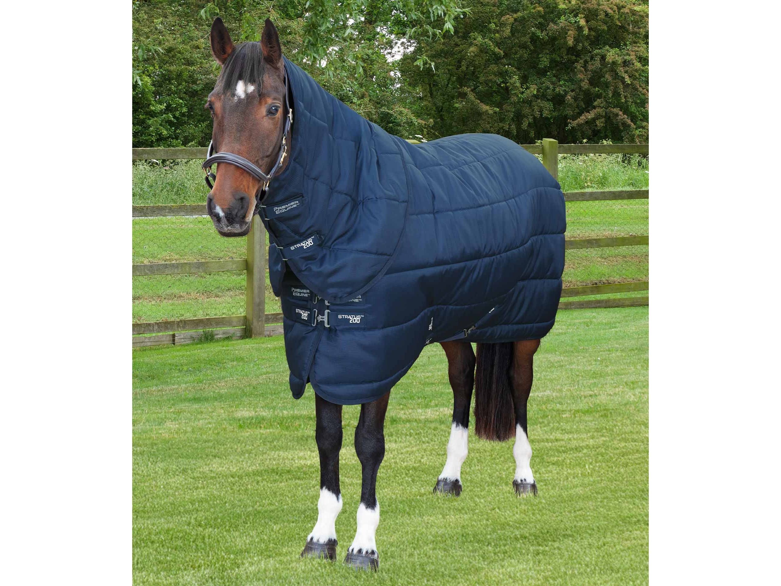 Stratus Stable Rug 200g with Neck Cover