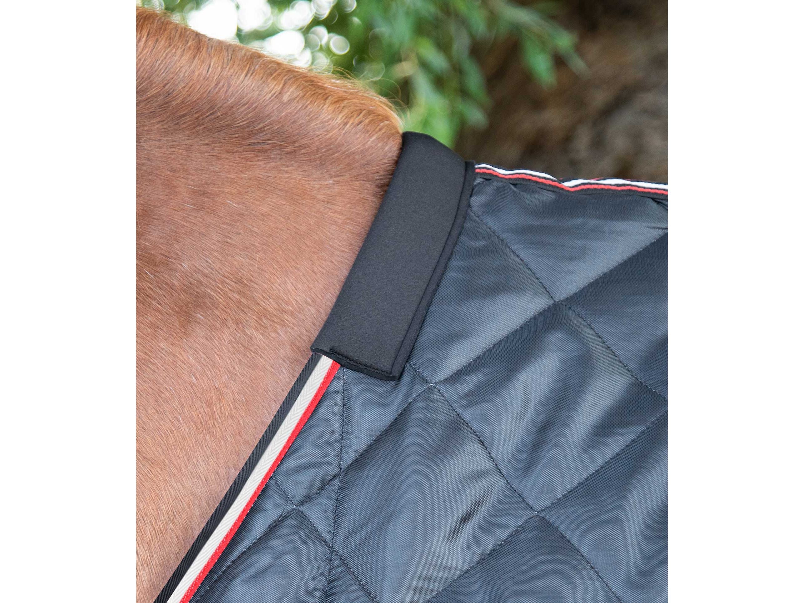 Tuscan Stable Rug 100g