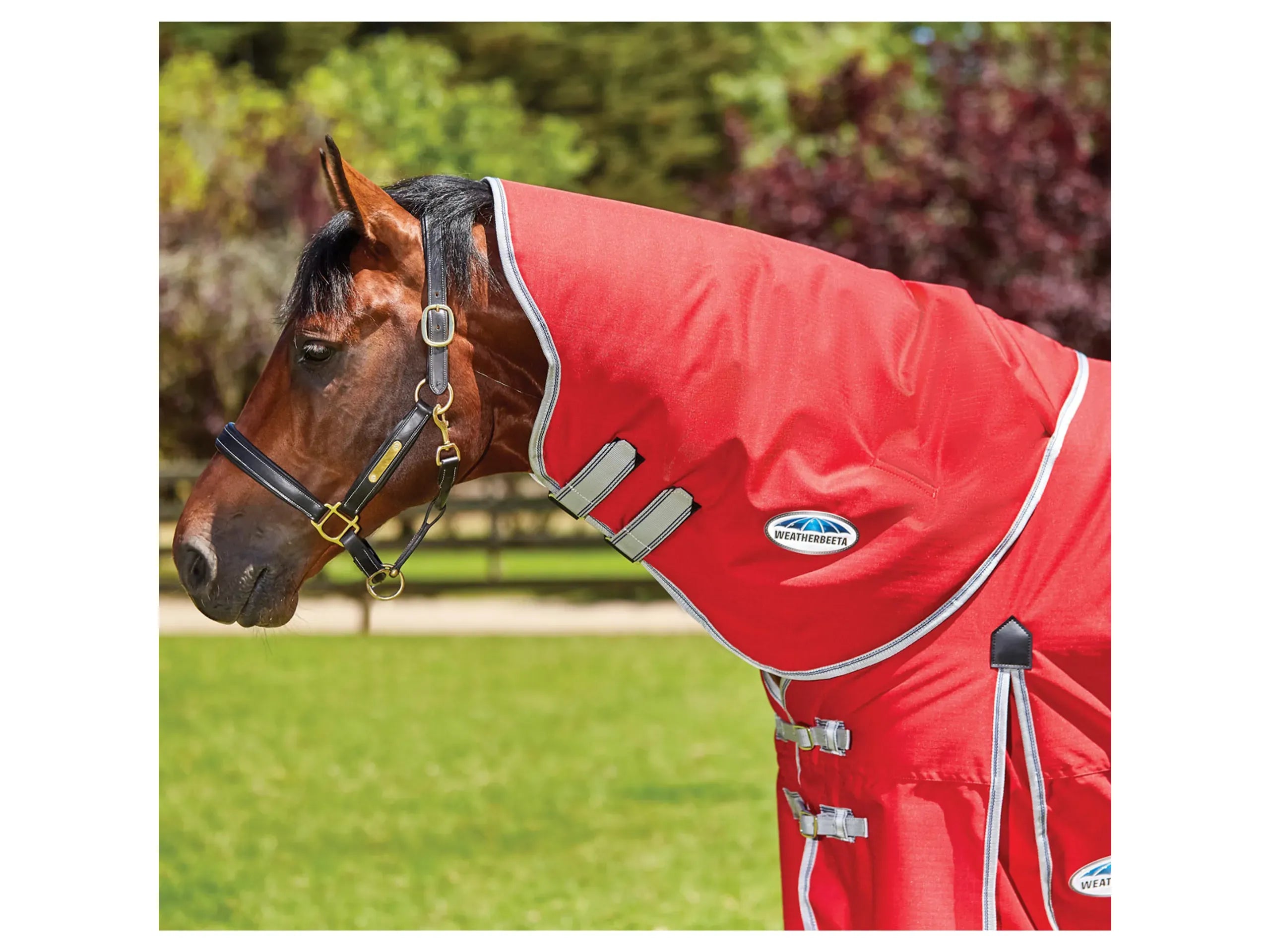 WeatherBeeta ComFiTec Classic 220g Turnout Neck Red Medium Only £57.99