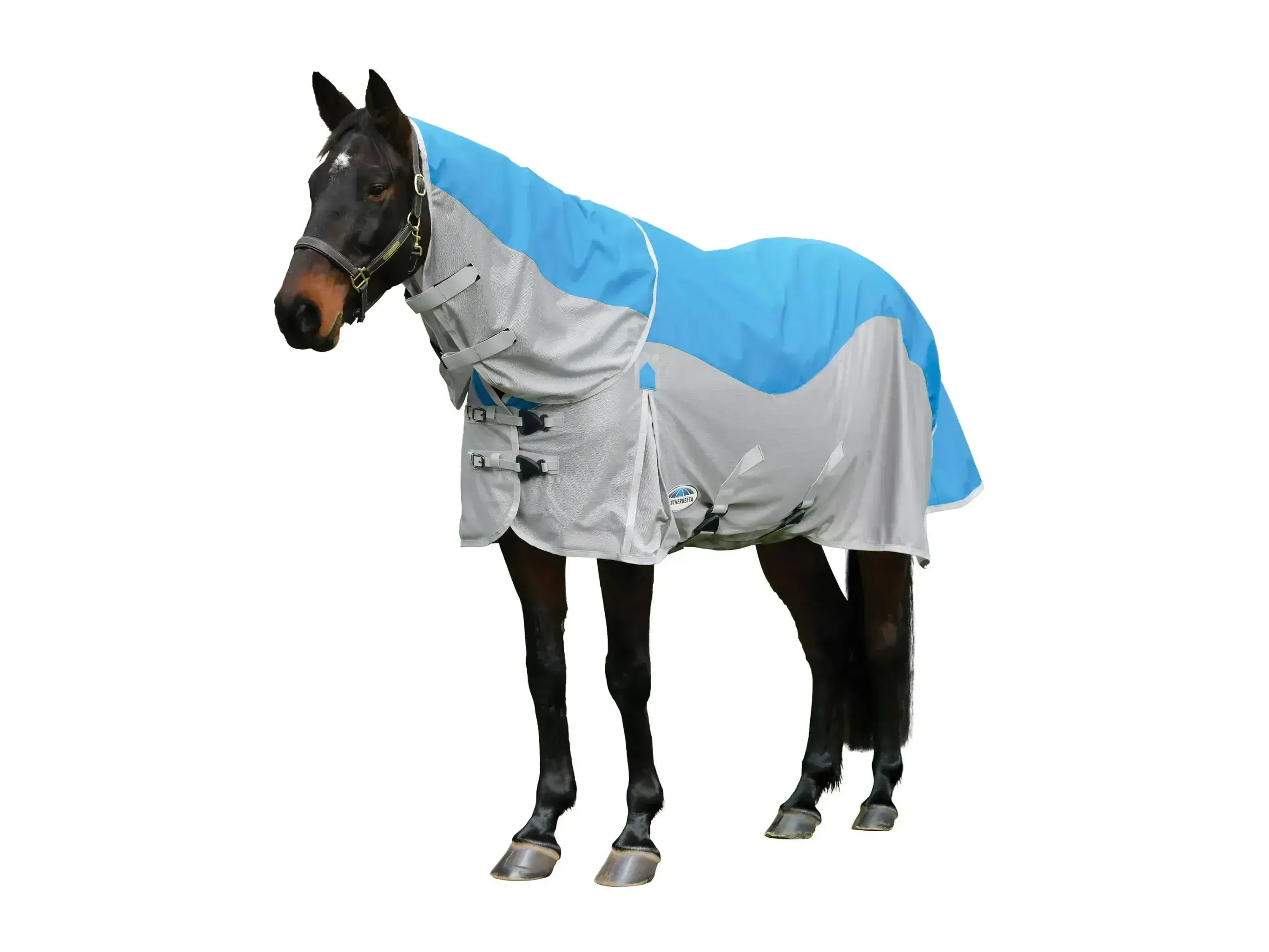 Weatherbeeta Comfitec Dual Shield Detach-A-Neck