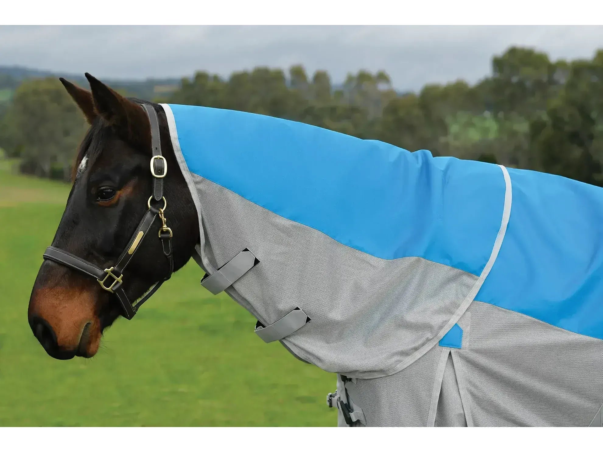 Weatherbeeta Comfitec Dual Shield Detach-A-Neck