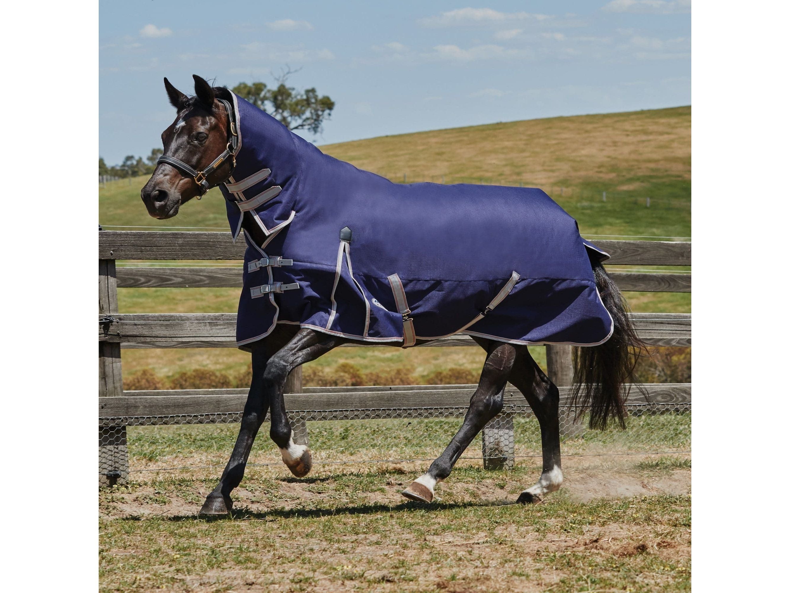 Weatherbeeta Comfitec Essential Combo Neck Lite Plus Turnout Rug Navy/Silver/Red