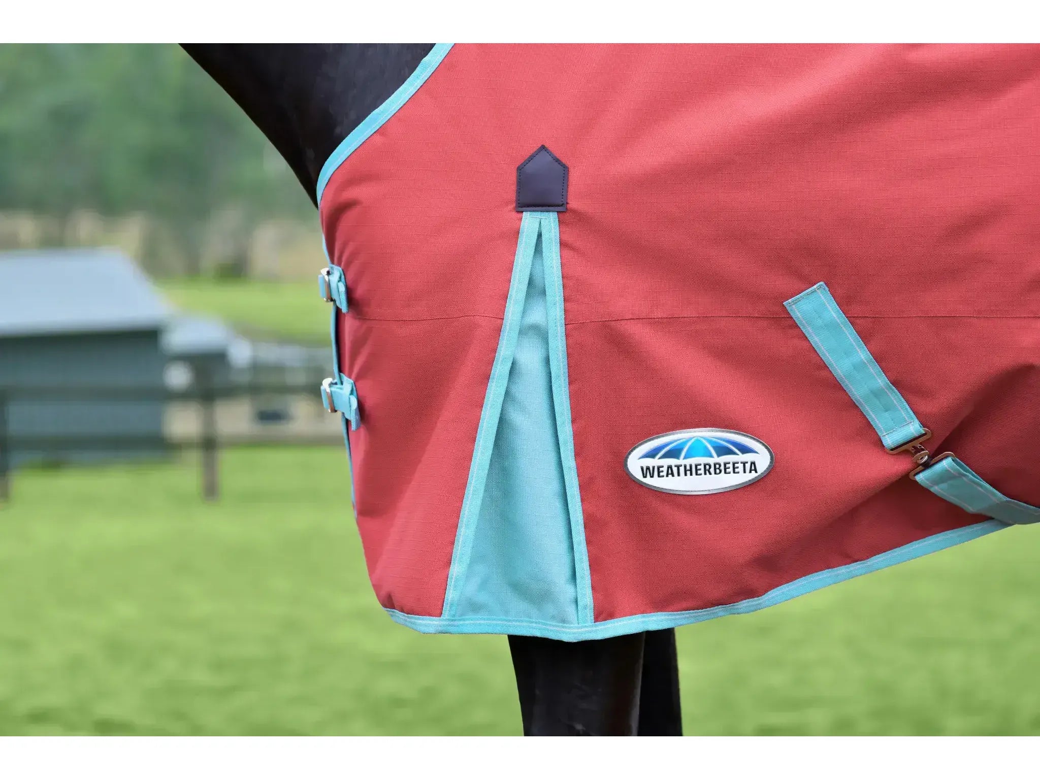 Weatherbeeta Comfitec Essential Standard Neck 50g Lite Plus